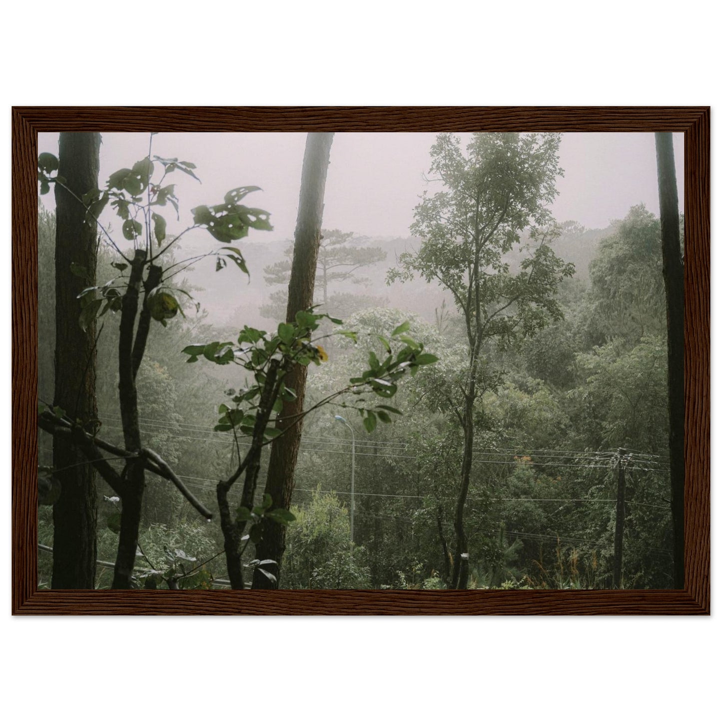 5ac806f2-4d62-4ebe-b7fb-a2eec1851627