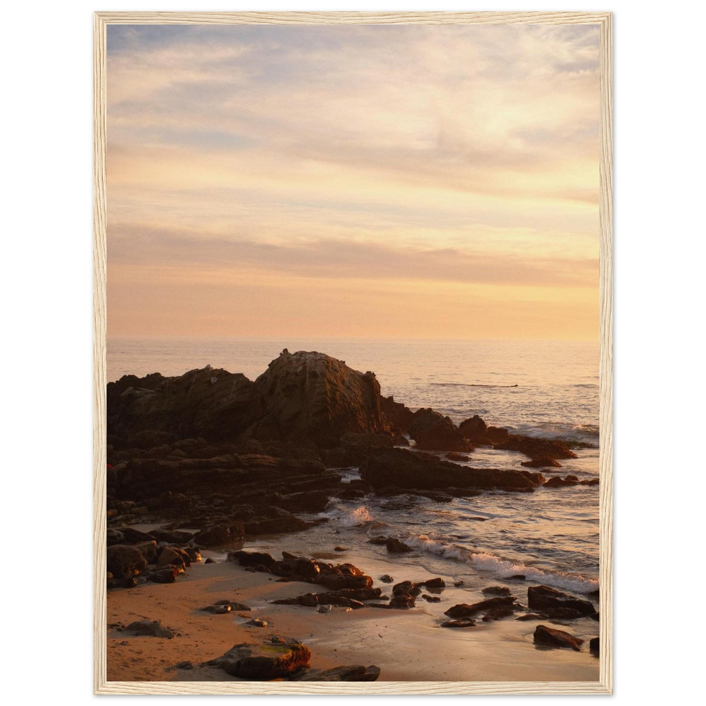 5d1e1725-d00f-4962-af9b-a3647f297b78