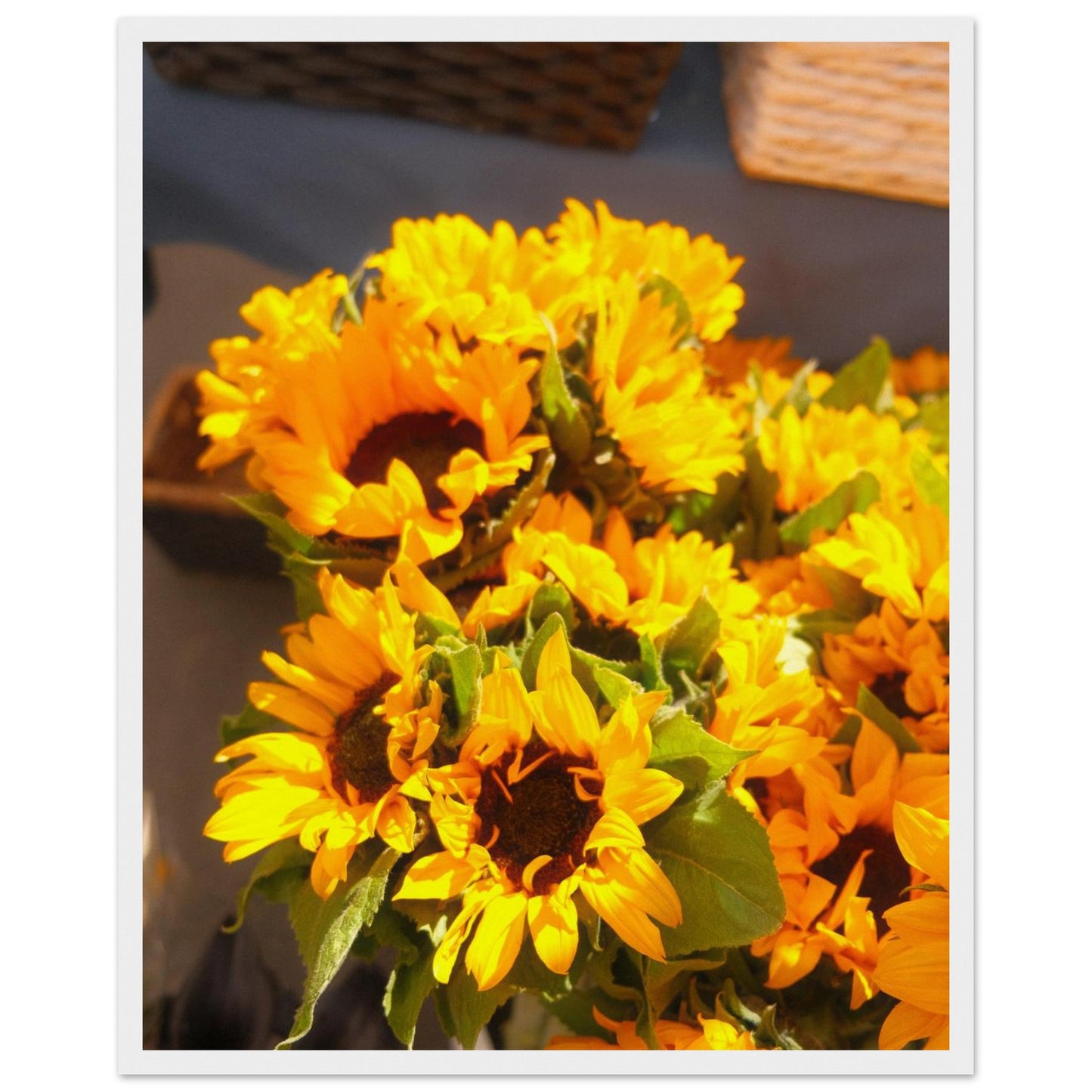 5d533b19-d8d5-40bb-90a8-3b1d7ec5f6ab