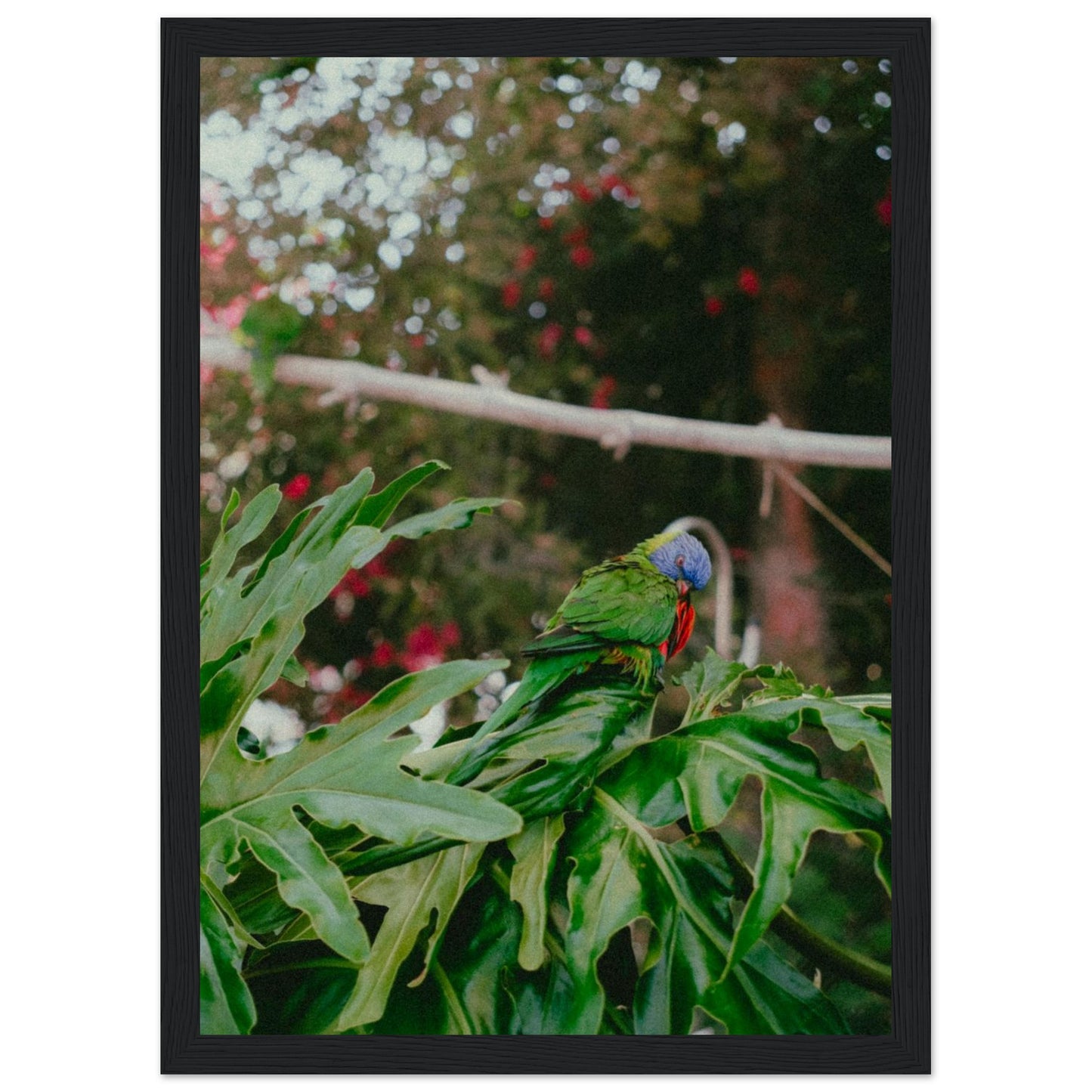 5e1822a5-665a-49d3-8c35-9e751145c7ef