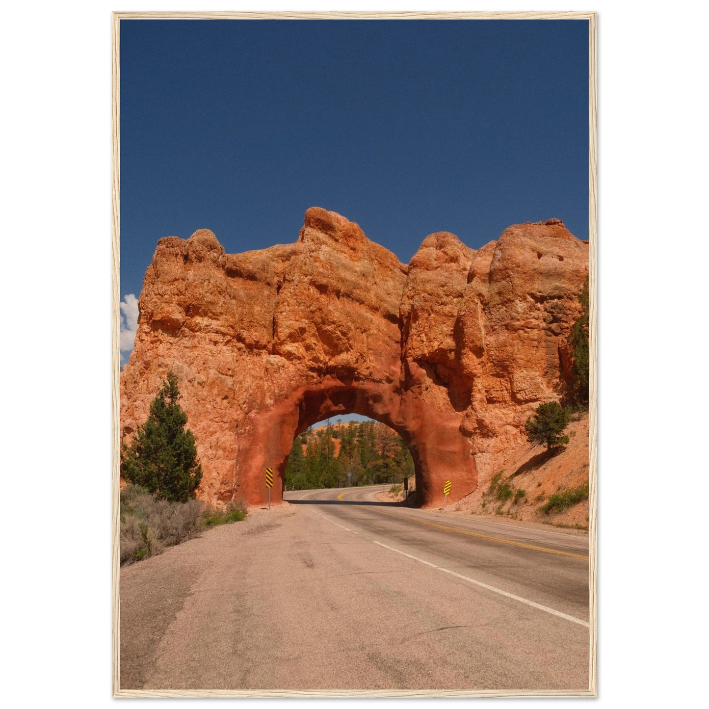 5e87503d-b65b-485e-a7c3-b769e9720f81