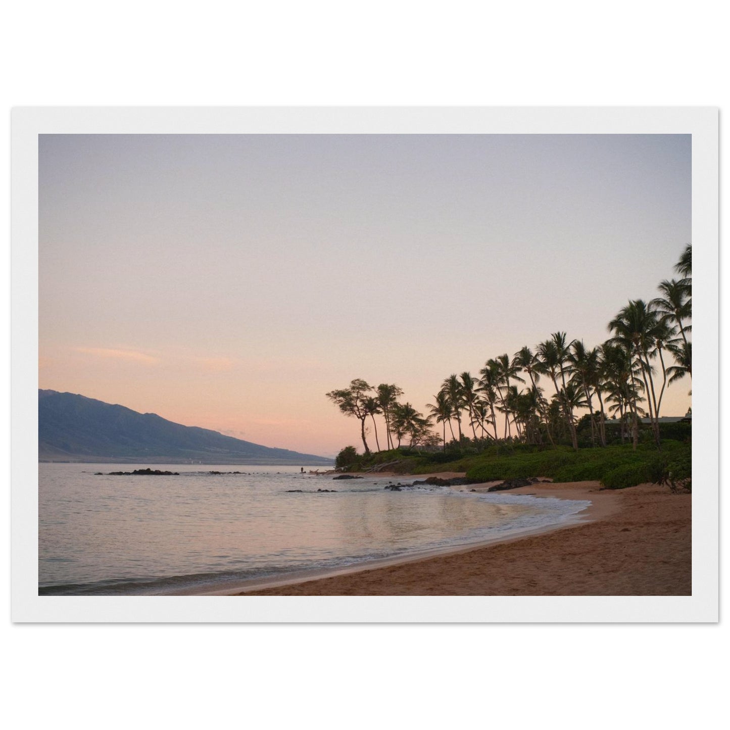 5f229699-b472-4224-8270-897fda2e28b4