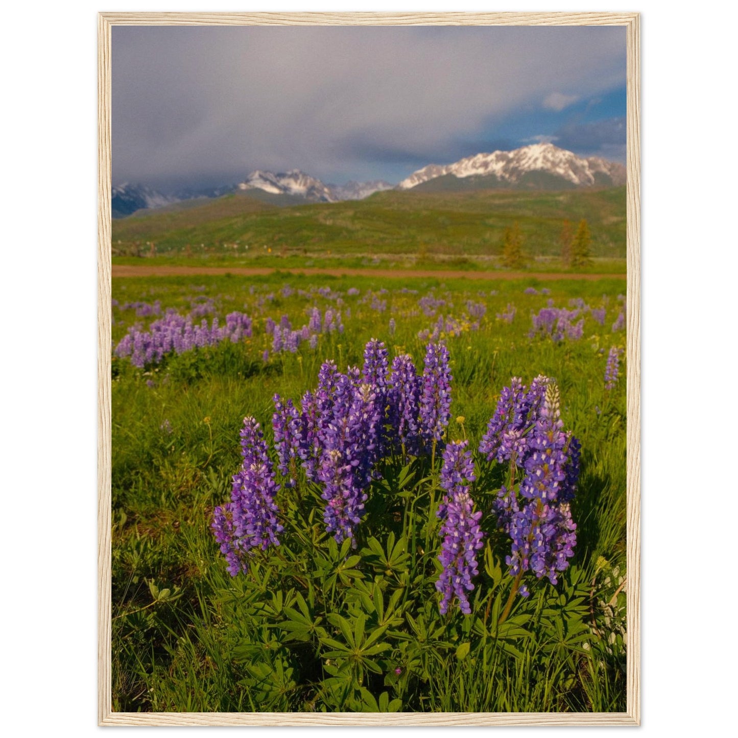 5f30cd3d-3e67-4890-818f-5b319fb184ad