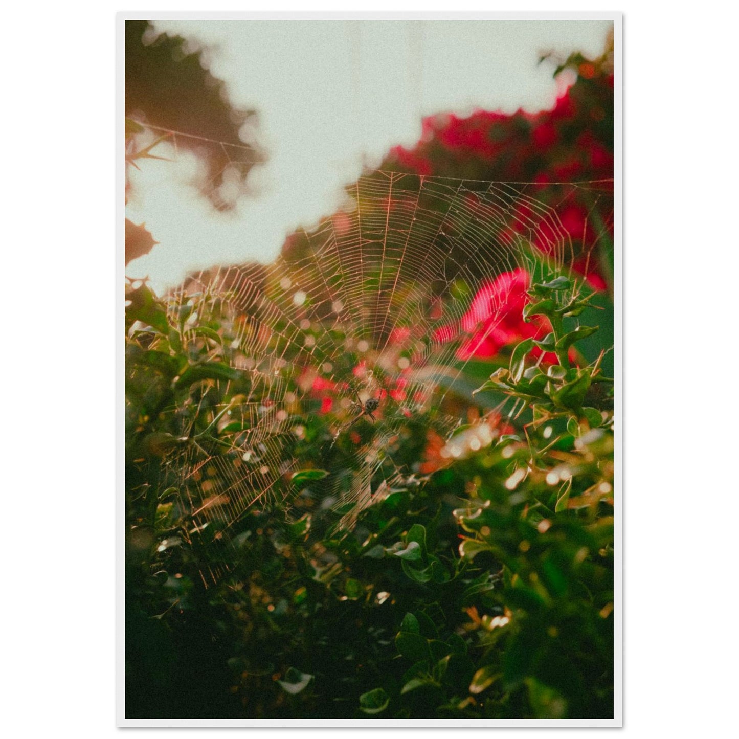 60b23fab-467d-49cb-8457-aae9030f68b7