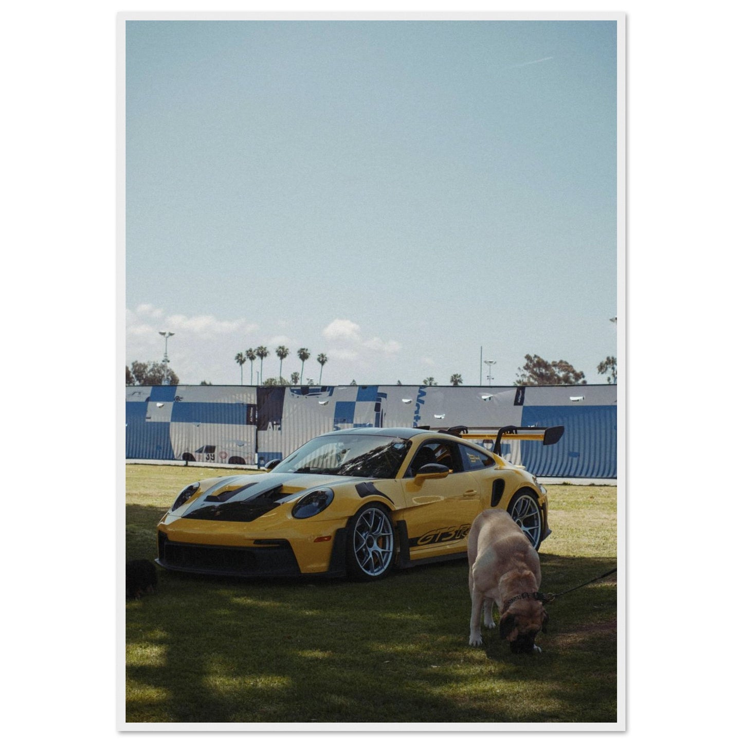 61dd03ab-31f2-4437-90bc-f2507e82487f