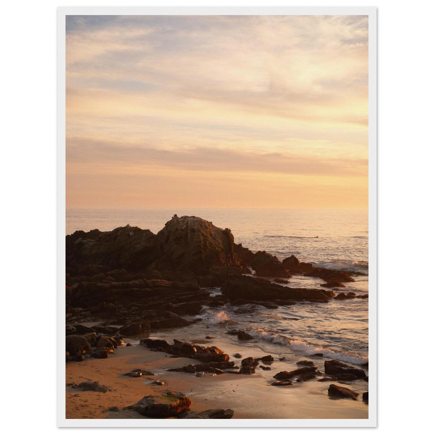 61fcfb54-72ae-4c89-a0d8-aafcaebe5fea