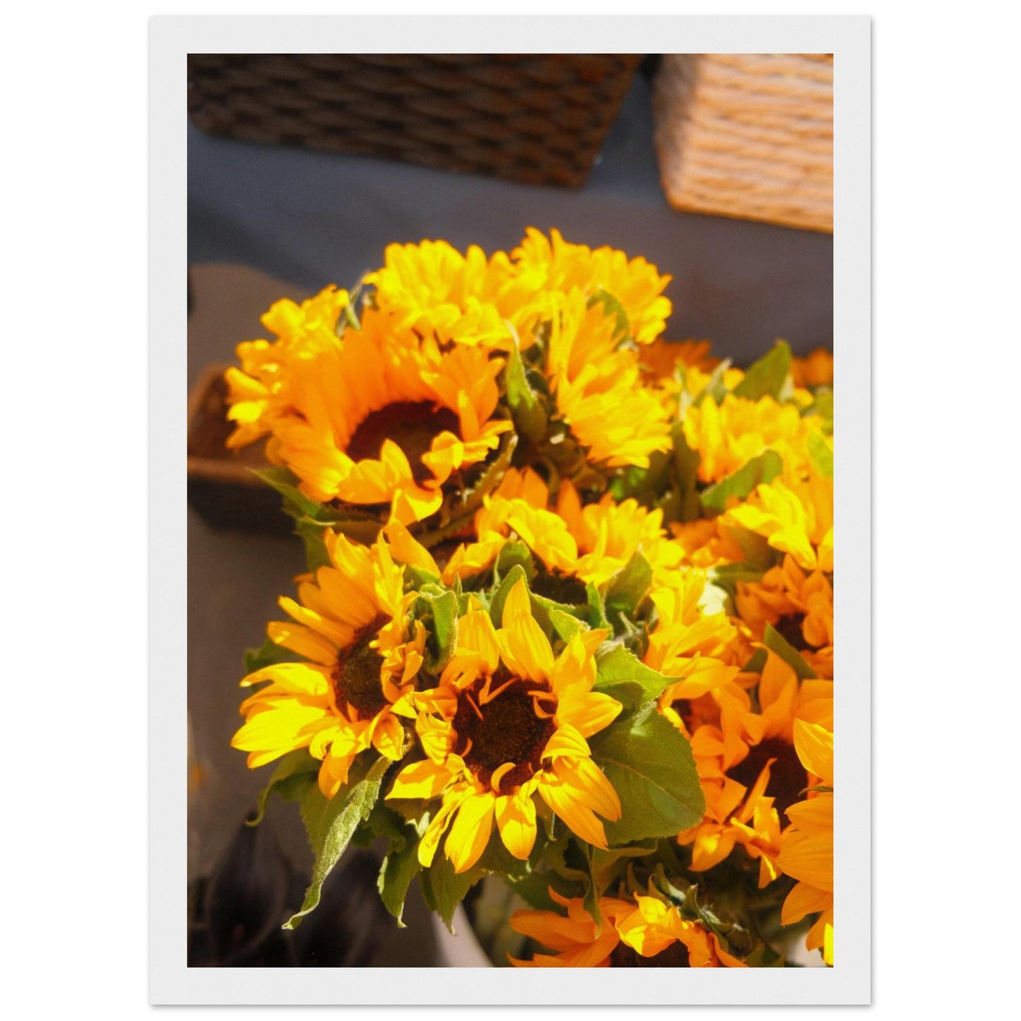 64ae20f1-01b9-42db-a880-fafaf991ae5f