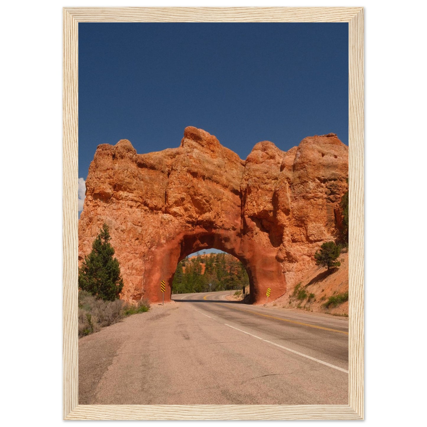 65bdd4a1-a8a4-4280-aac2-af75ca0757e4