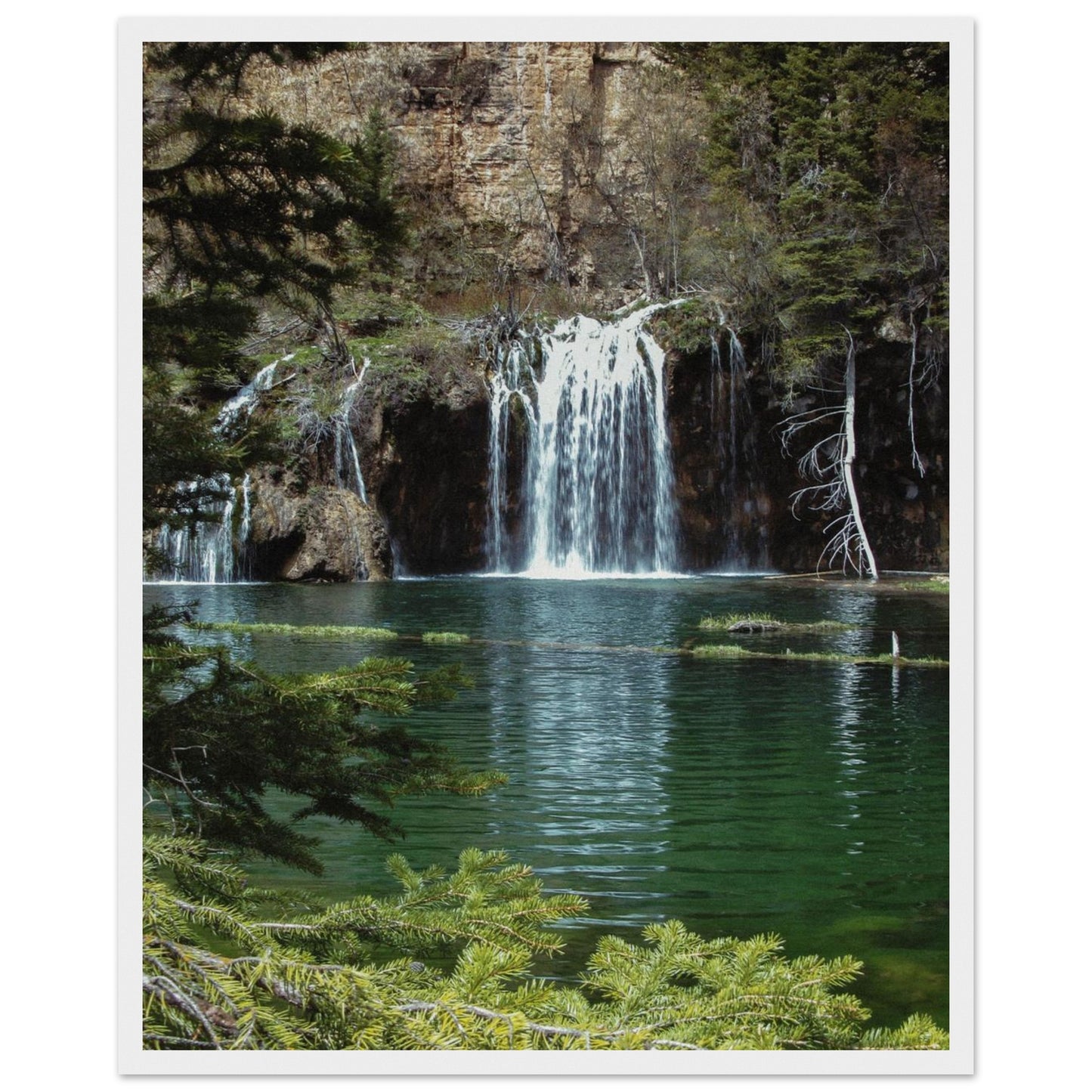 6820859b-65b3-40d5-8581-02aa32b9d7d4