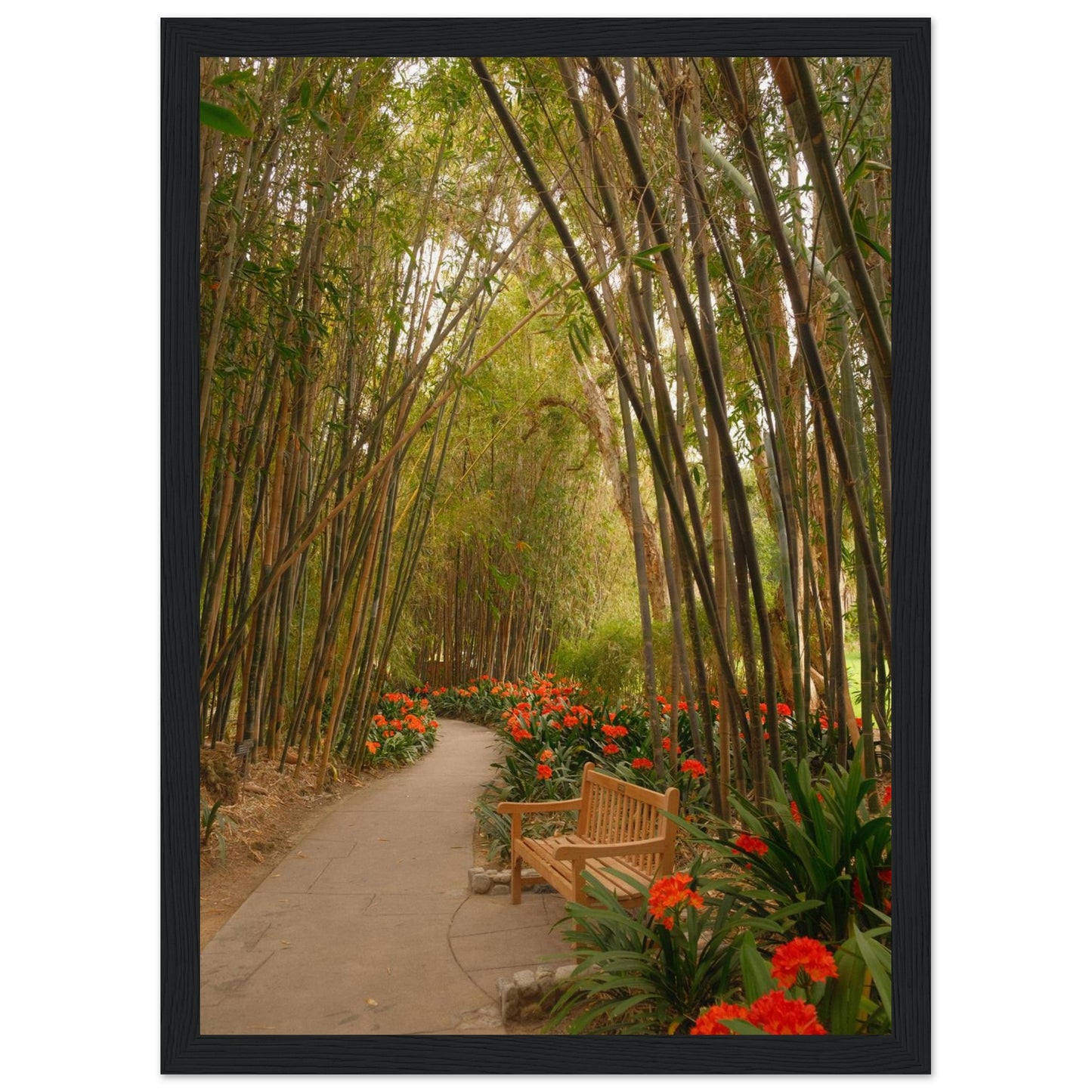 6831f9d2-9310-43d7-92f6-412051ab5fd6