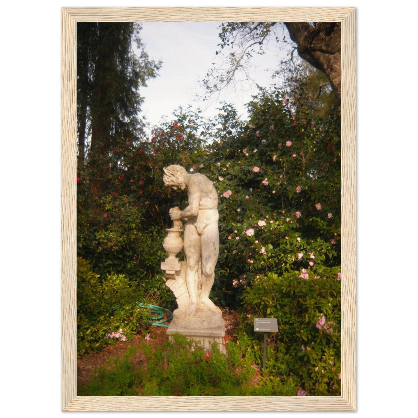 6a08756c-6018-4413-8b0b-4d9697578f70