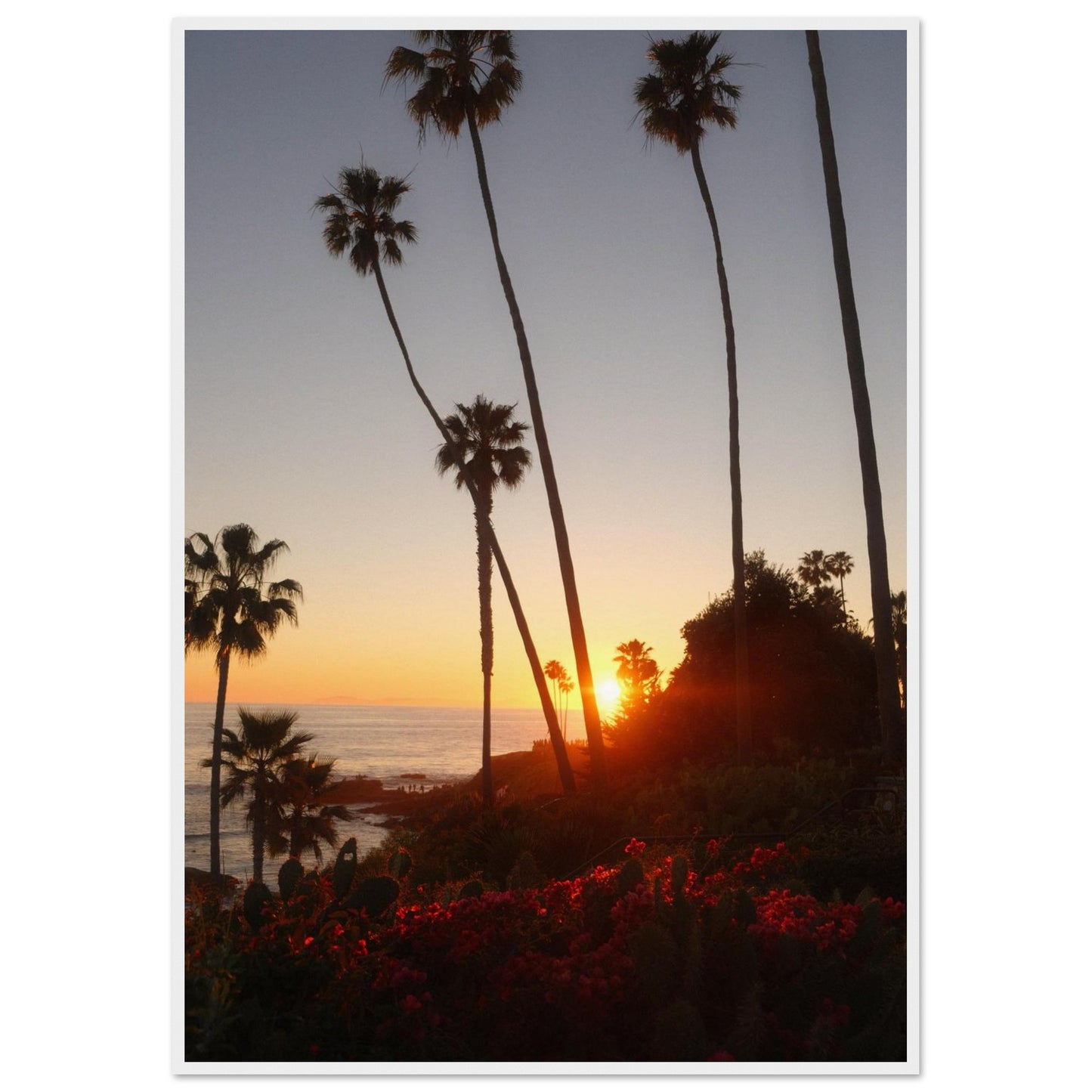 6c01e0c0-8214-4b99-bcfa-1f4e06bbc639