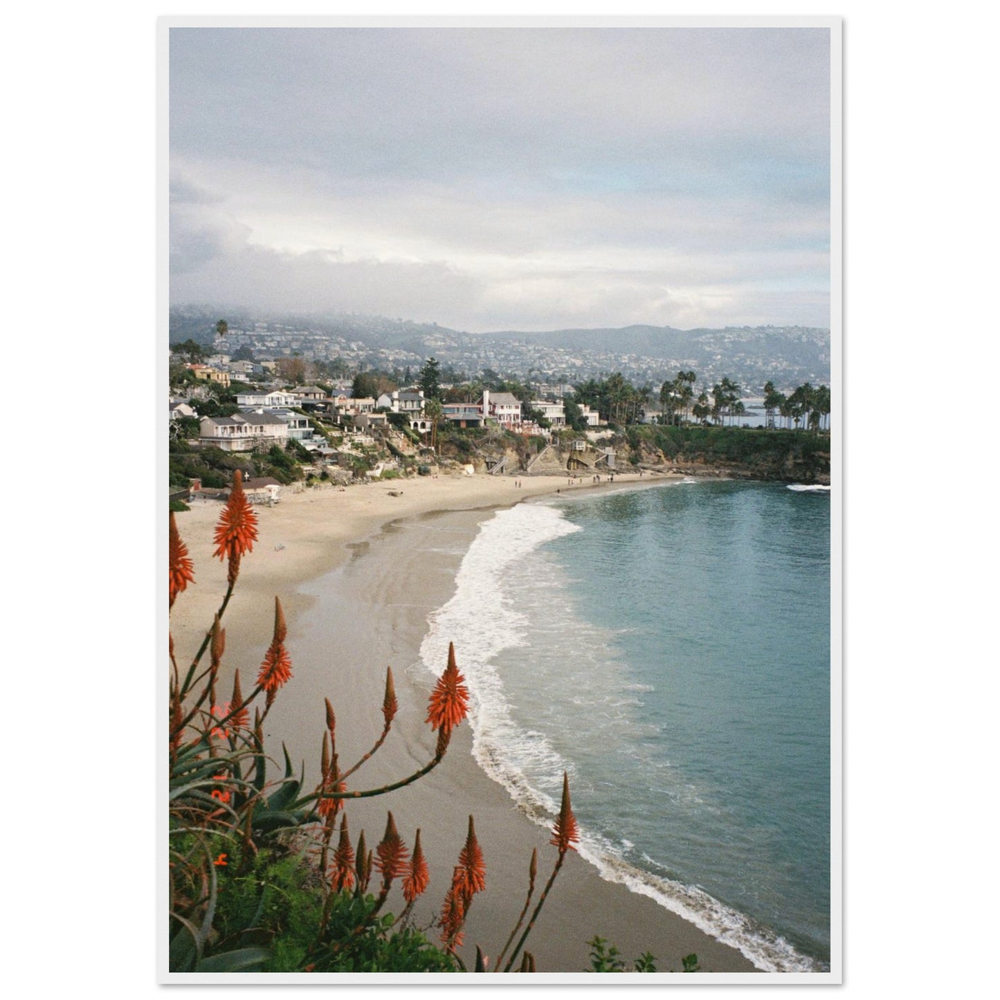 6c36d141-383d-494f-b9d9-3f7b7f441267