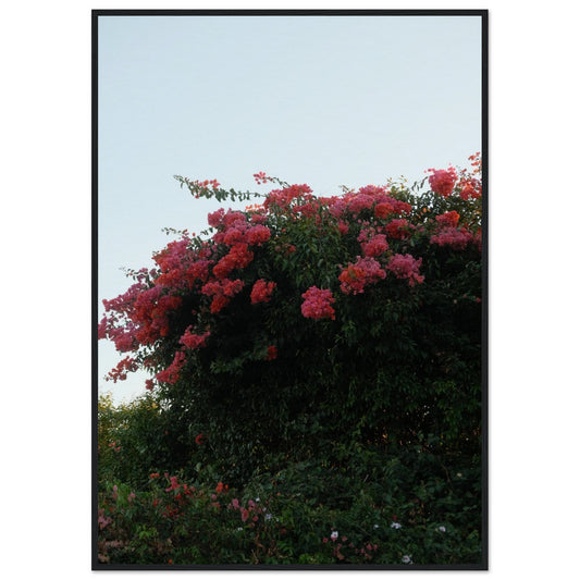 6c418ea3-05c0-47de-940c-2f171c0d9d6b