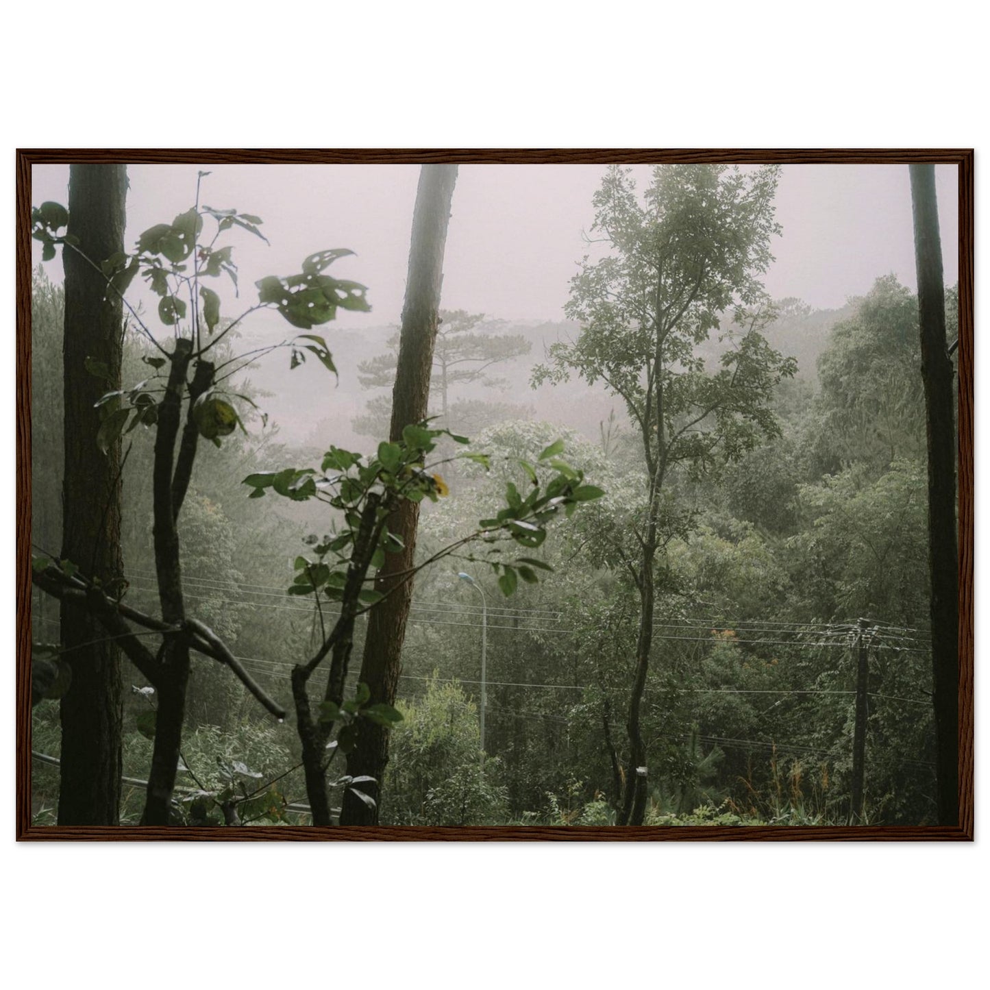 6db1ff47-523c-4a7b-89b8-946e4090924d