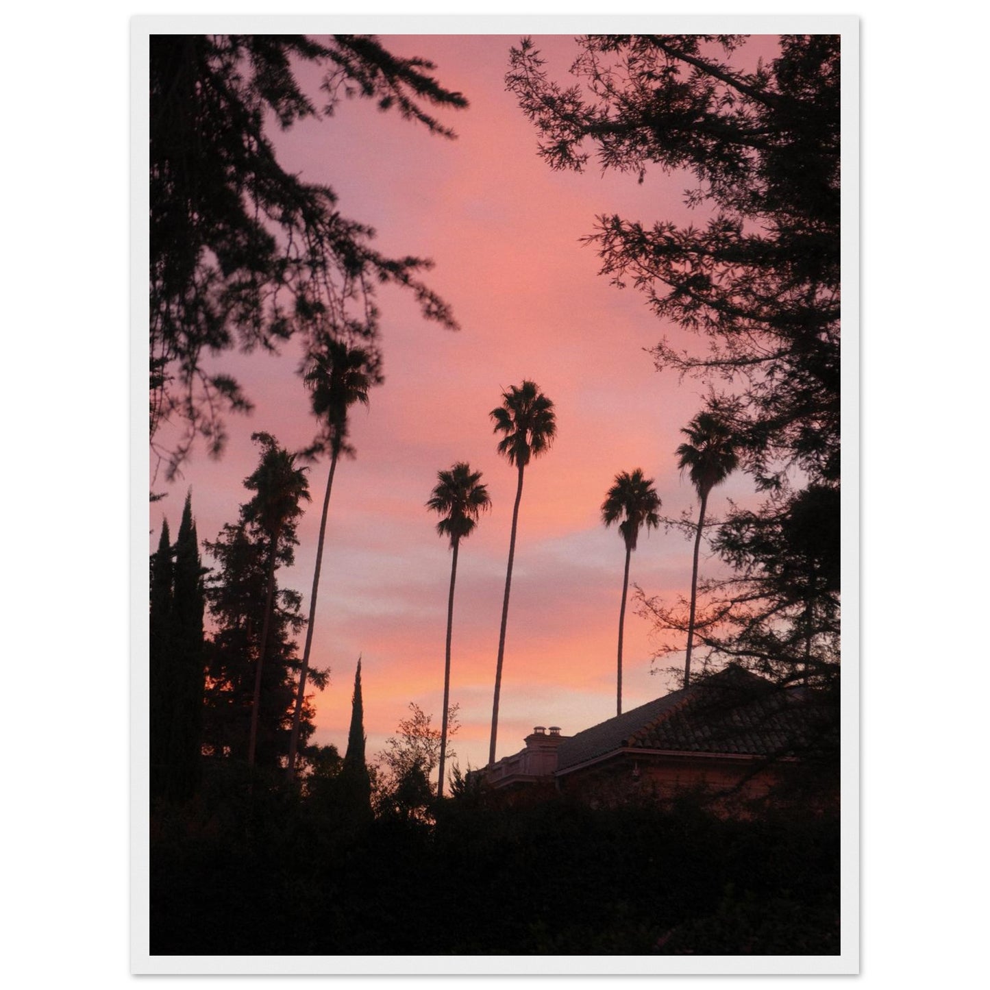 6f0c8c46-2e4d-4307-b318-6becda986fd3