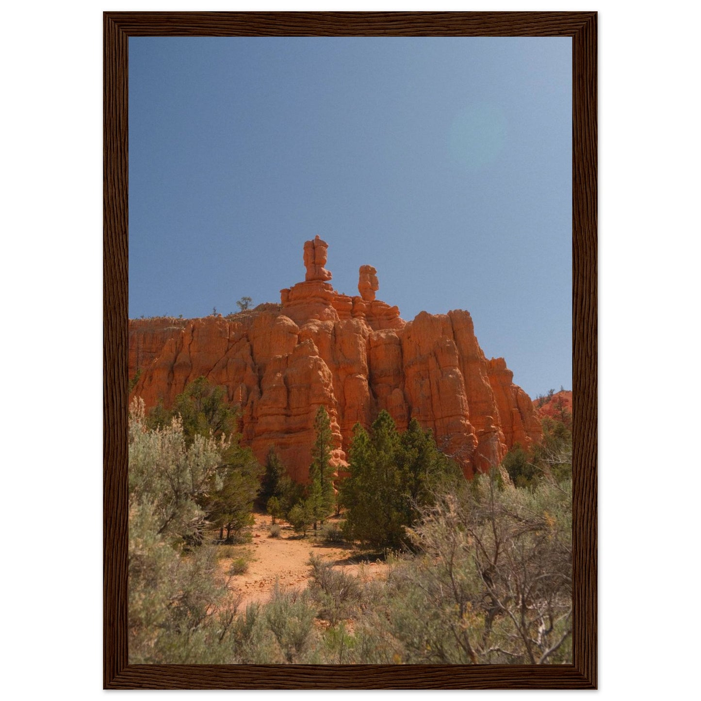 6fadcba3-2e56-46e0-938c-12999c9d5841