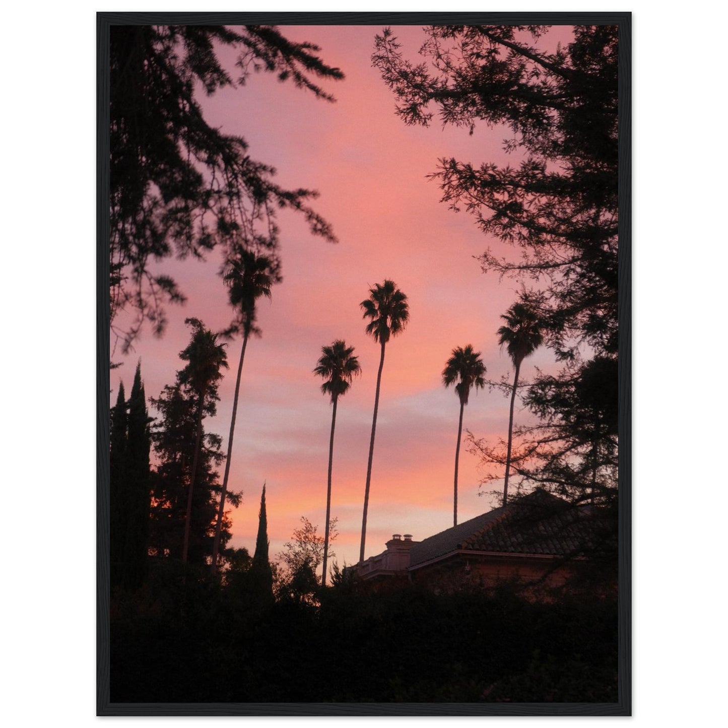 70d0f857-f6a7-4f1d-a344-1ed96f139842