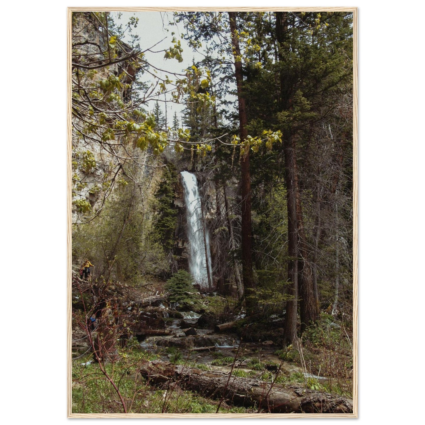 730d65c7-6d8d-436e-8d01-d5ed1a9361c5