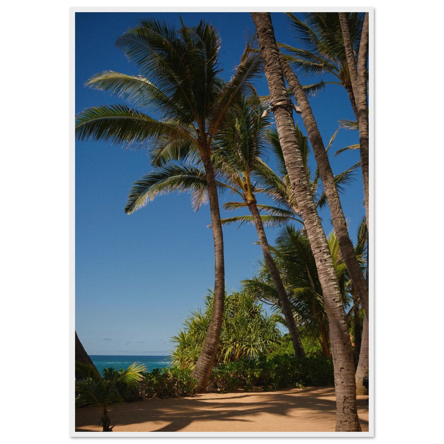 746338eb-9bce-4e9e-9eaa-7394b8c54a2f