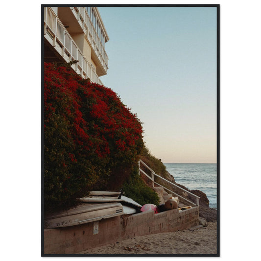 74ea0d5b-2655-409f-a31a-83933f966fc6