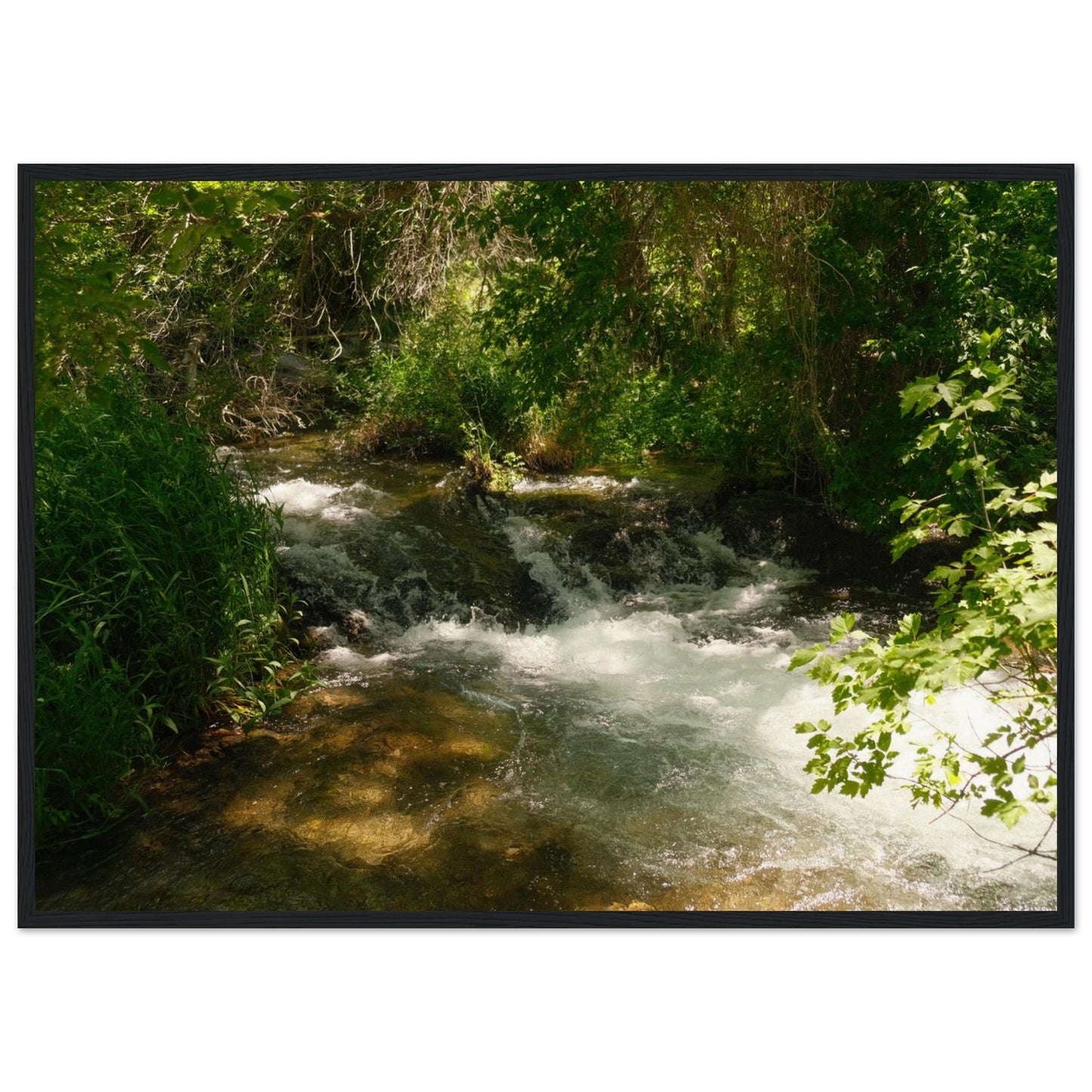 754e1c87-837a-474d-9fc3-29c6a99e033f