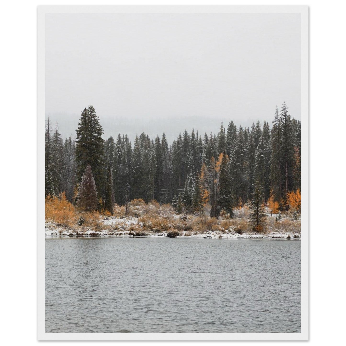 76996f51-f96f-4ce7-9900-97e28d9e7667