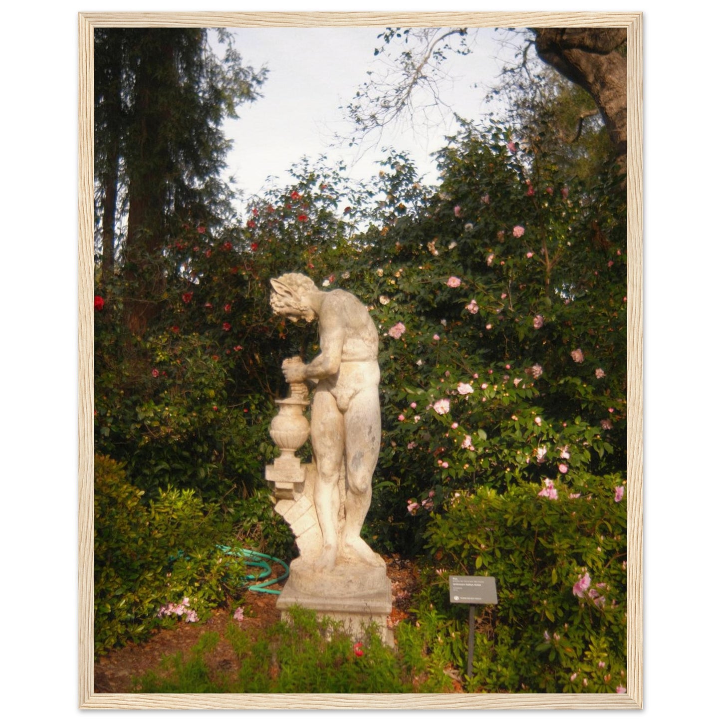 769b4506-acf8-4727-9a53-d026b74dc270