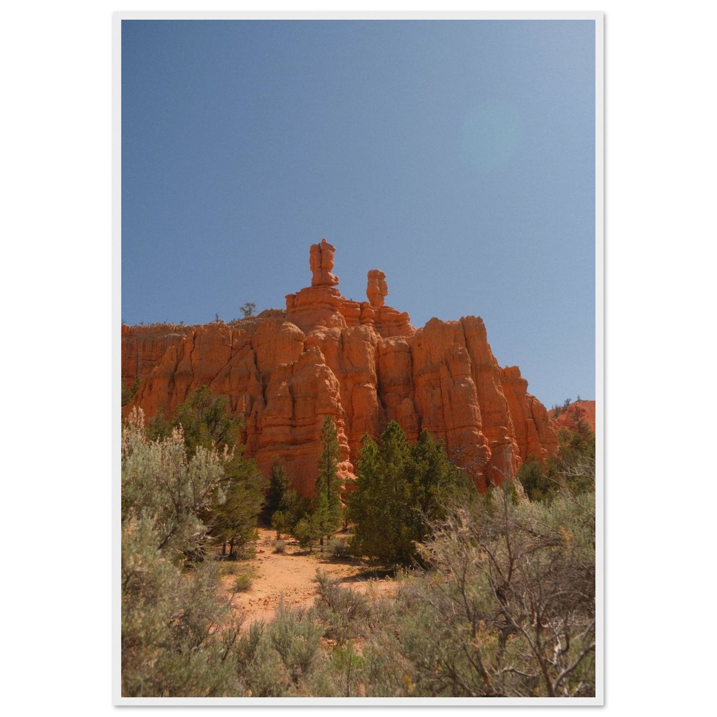 773ca164-e963-4775-a251-aaf8802c62f4