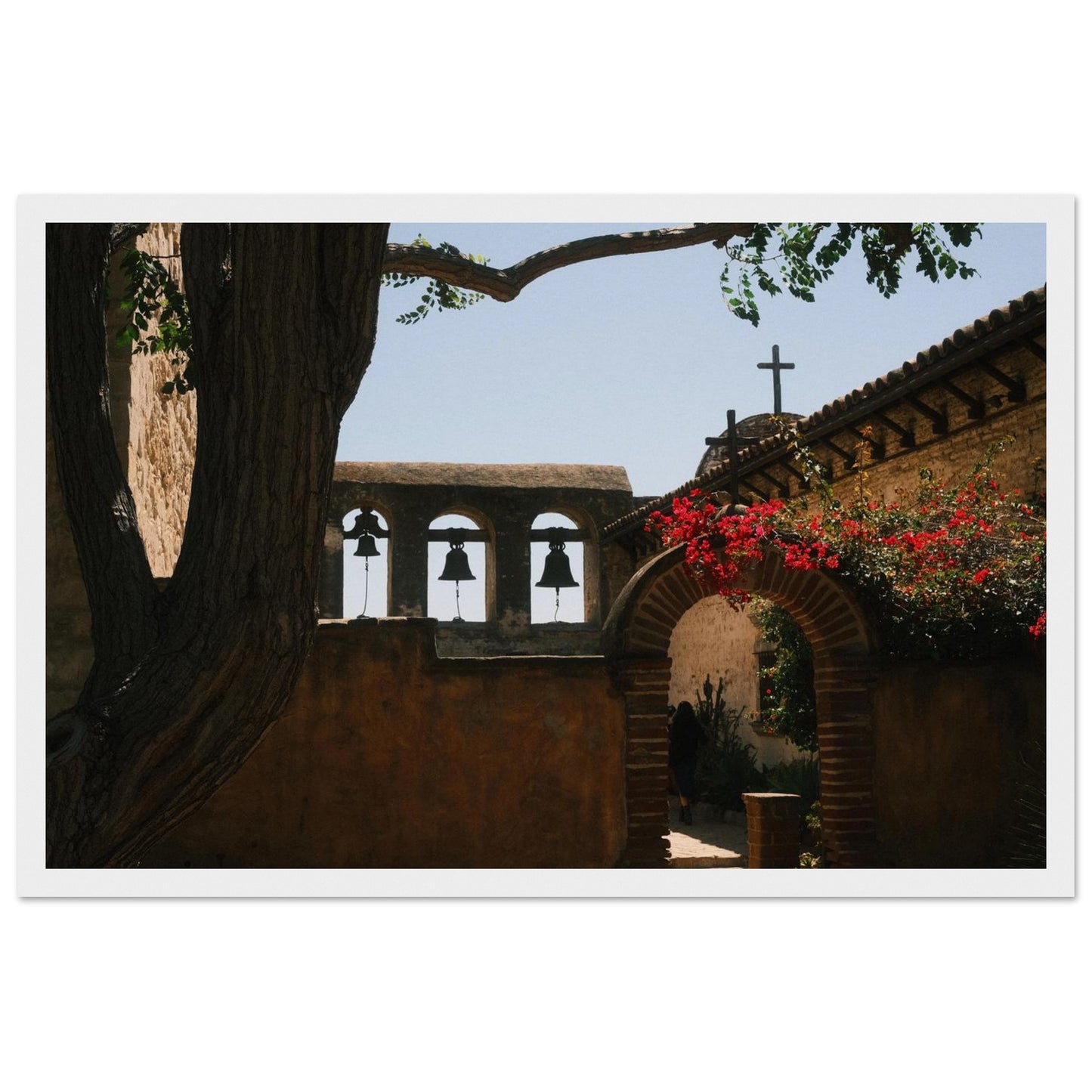 7946a6b2-f06c-4b62-8f47-d5df0fb54676