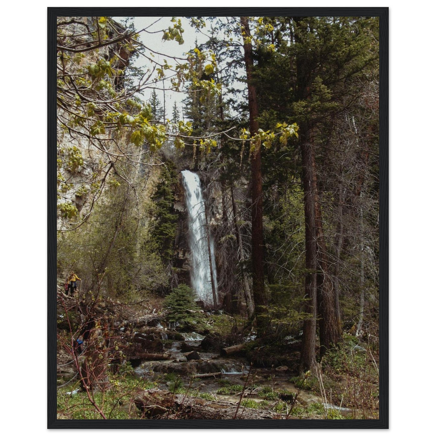 7a7856e8-fc74-4270-9843-6a53cb3b3b0a