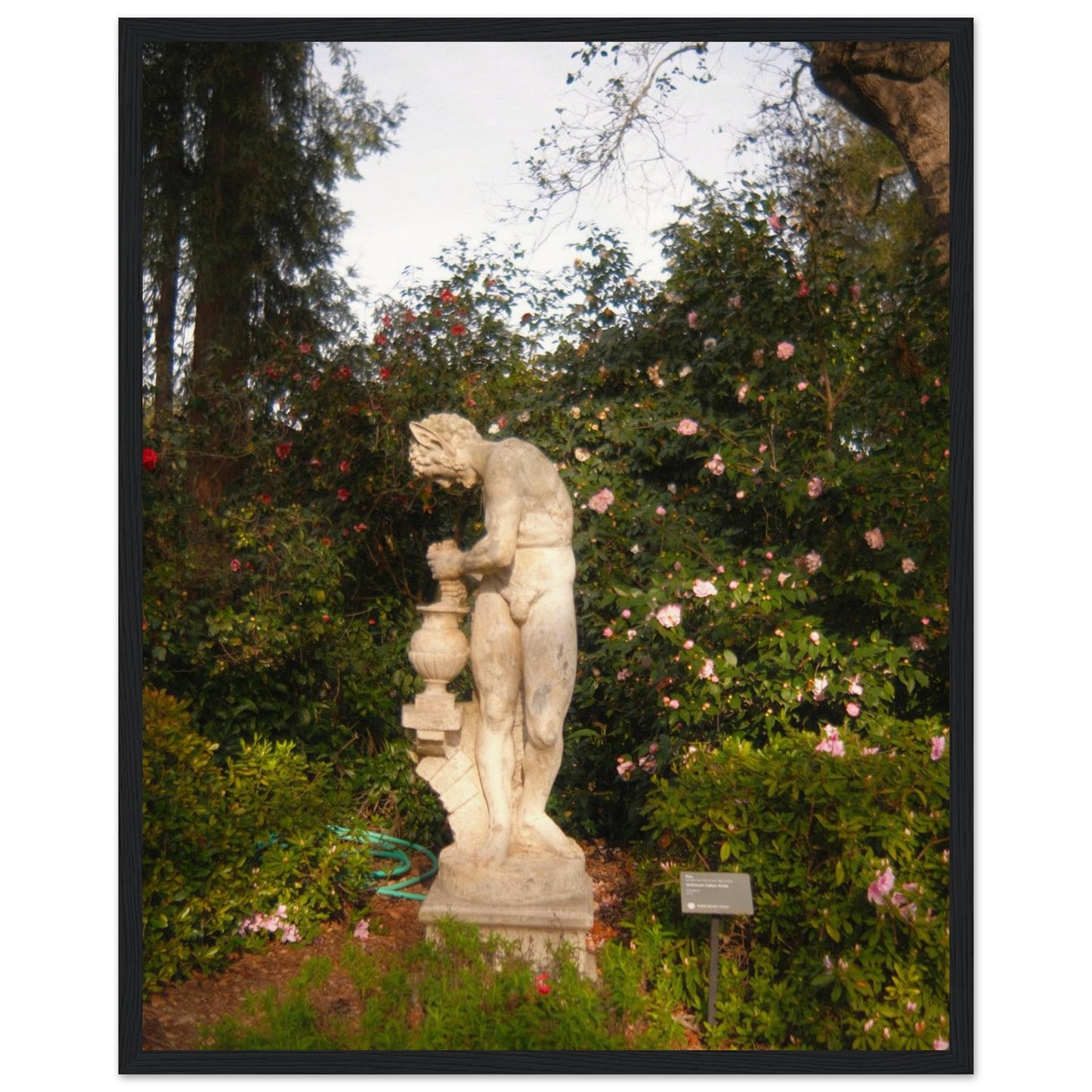 7a9501f3-74df-4f49-a81c-d211bab81e52