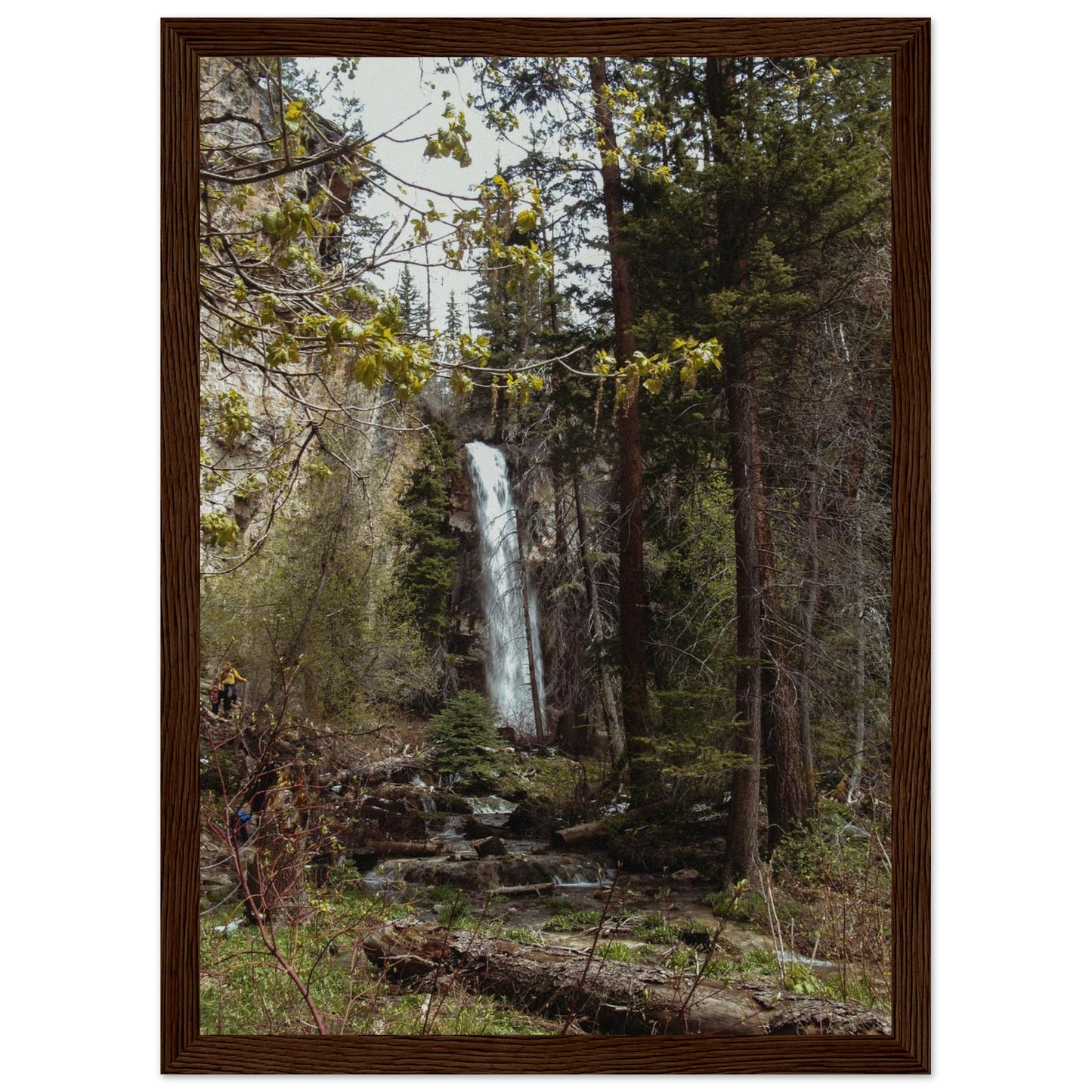 7b43999c-03f6-40db-8720-b6d36f4cda08