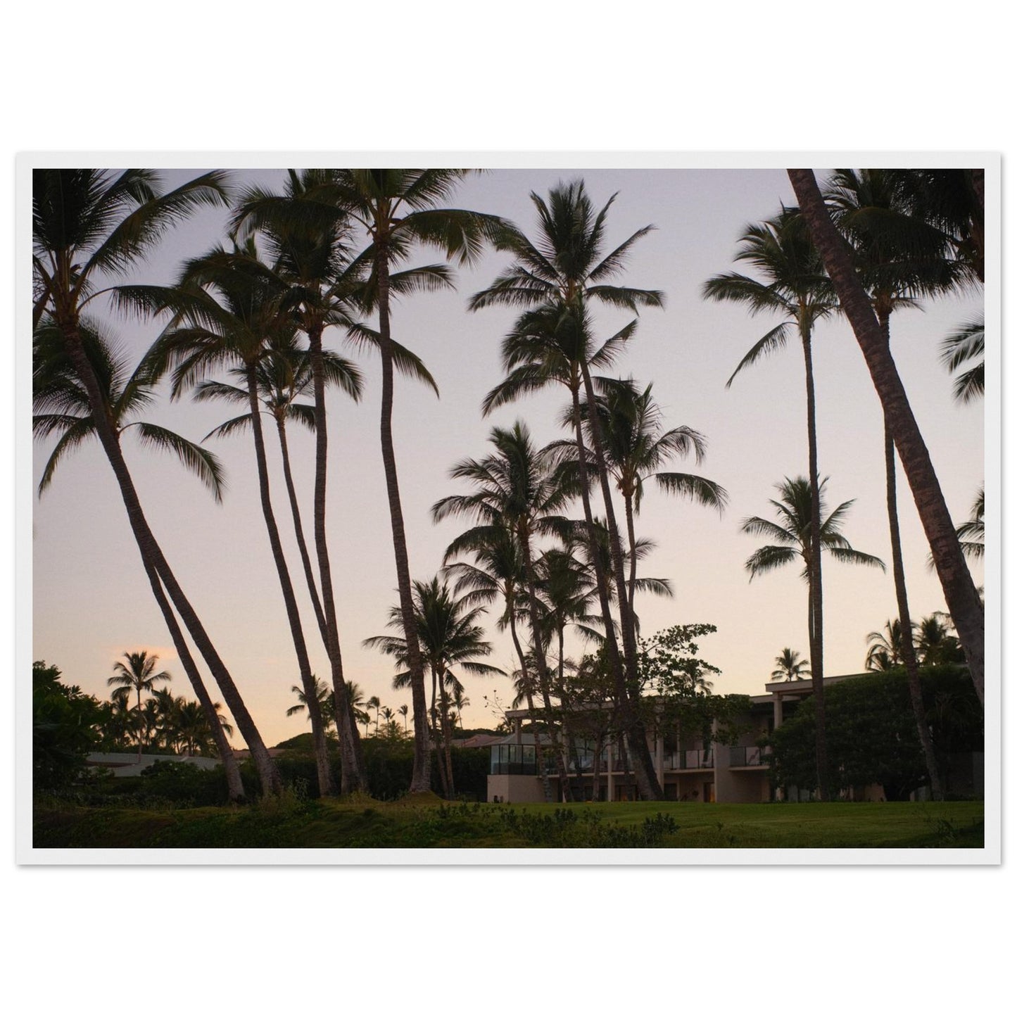 7c8e3449-e381-4d79-ac33-72d55b43bcc1