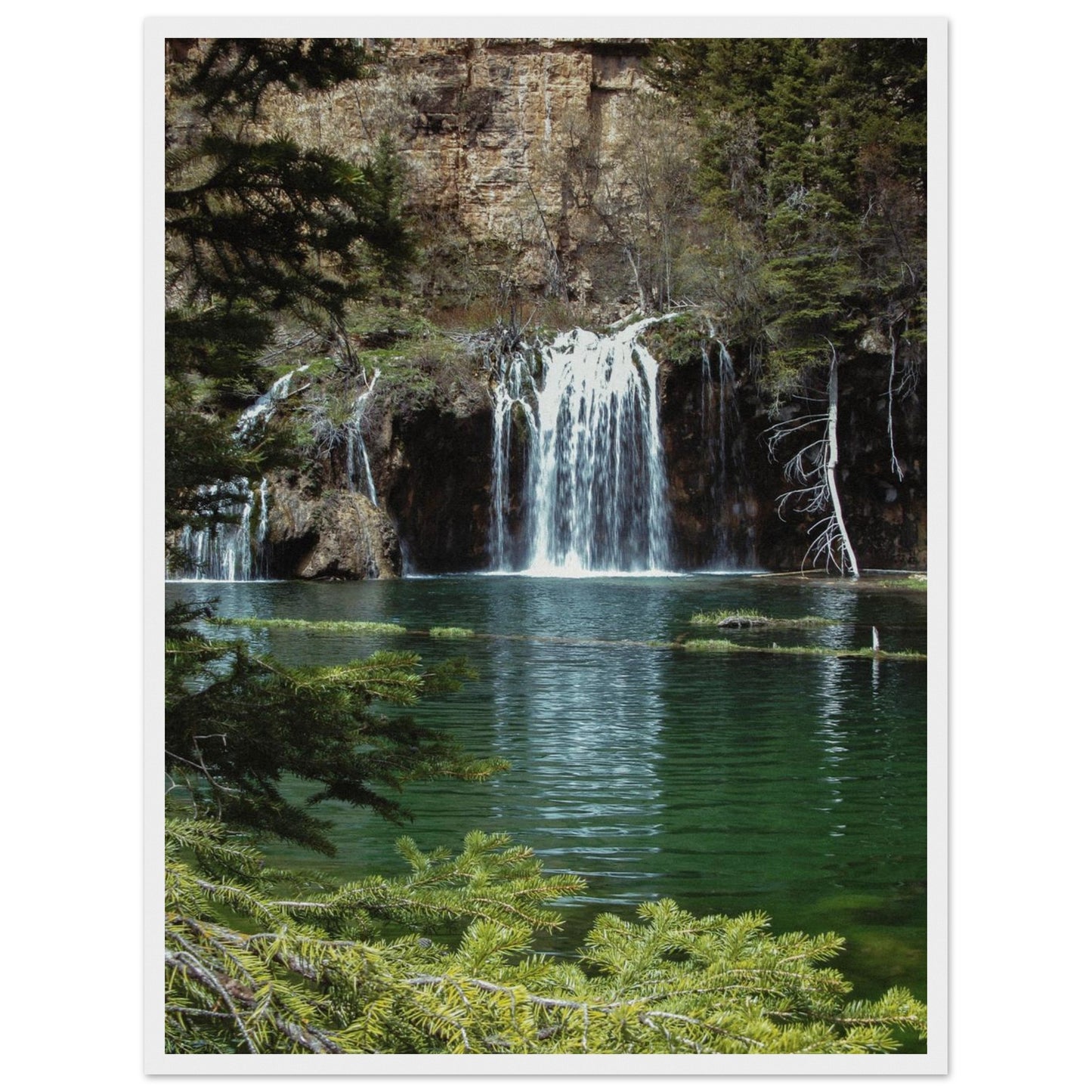 7dc3b4b5-2d1c-40d7-b5f0-df6dbbac5ce1