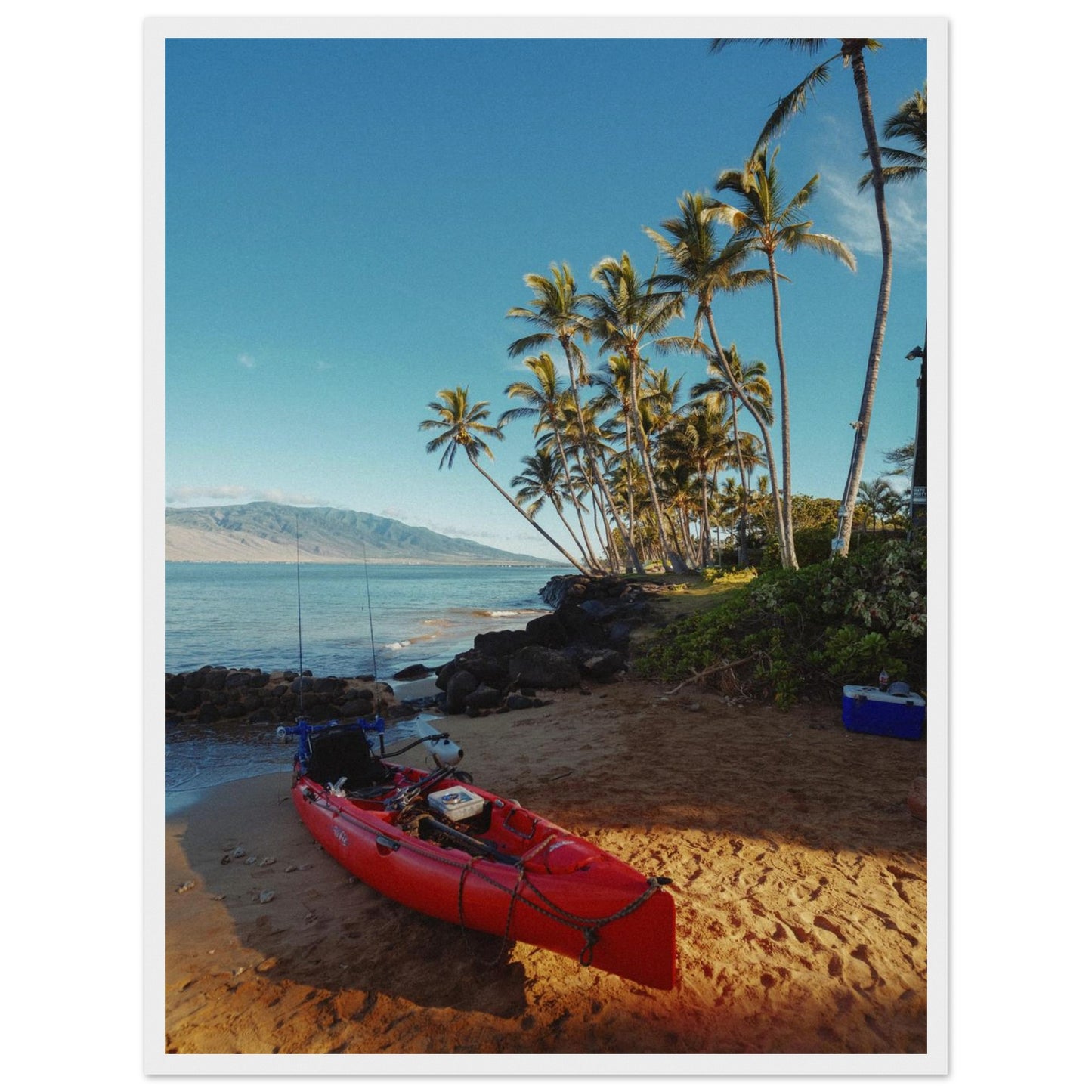 803b8466-e8f5-41d2-b9a3-97039f430efc