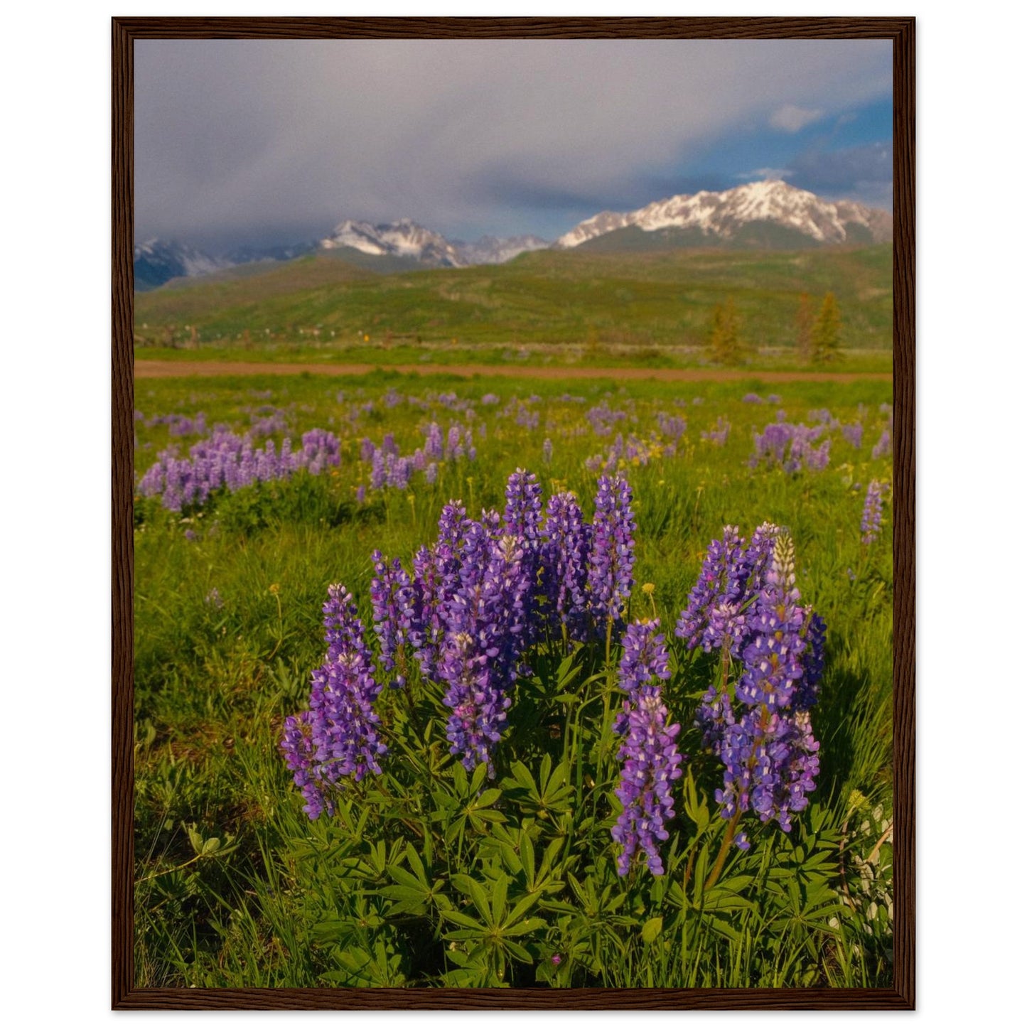 8043bb98-1b5e-4269-8519-804befb140c4