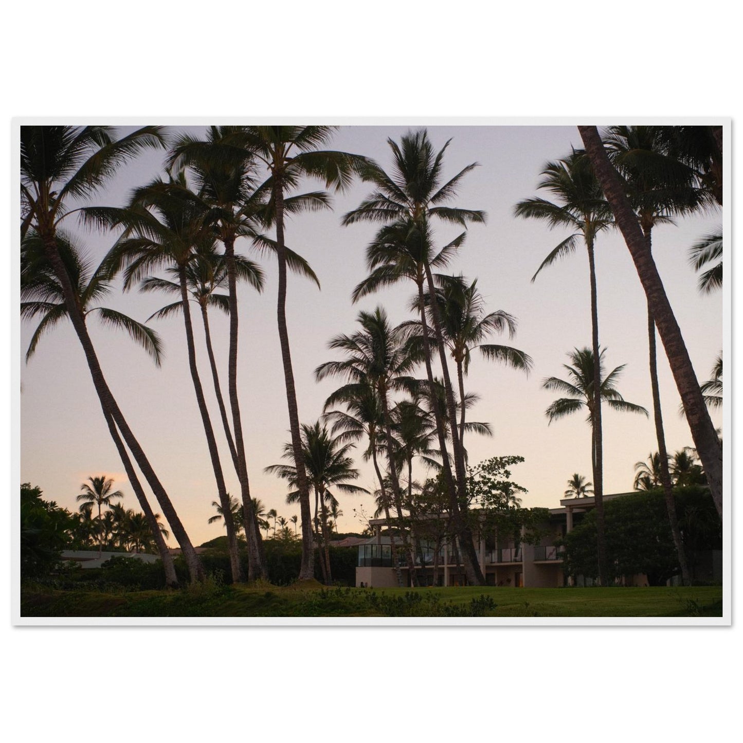 815b533d-02f3-49af-b901-02dd21412ef2