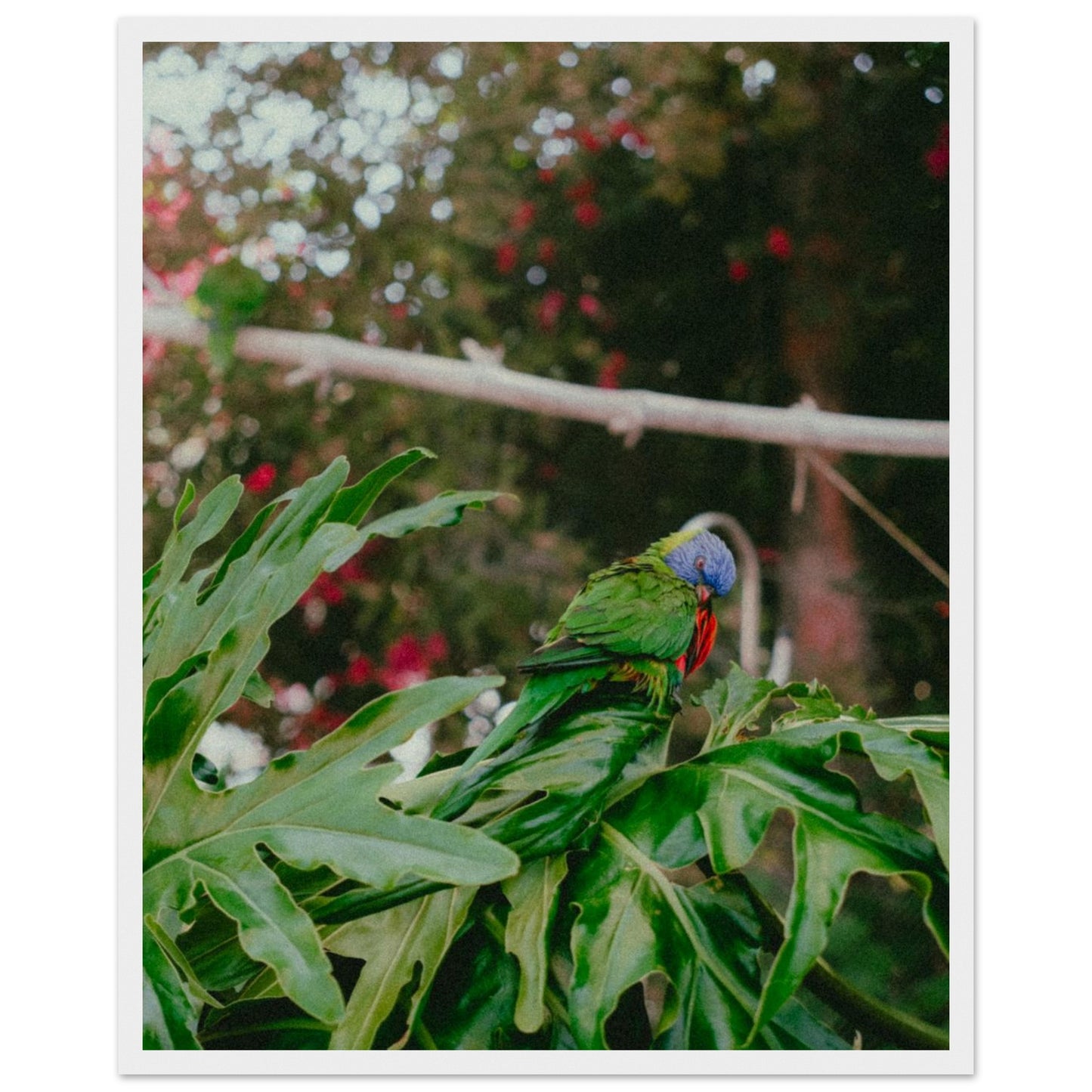 81d94fdc-a20f-4921-8279-3243a84232dc