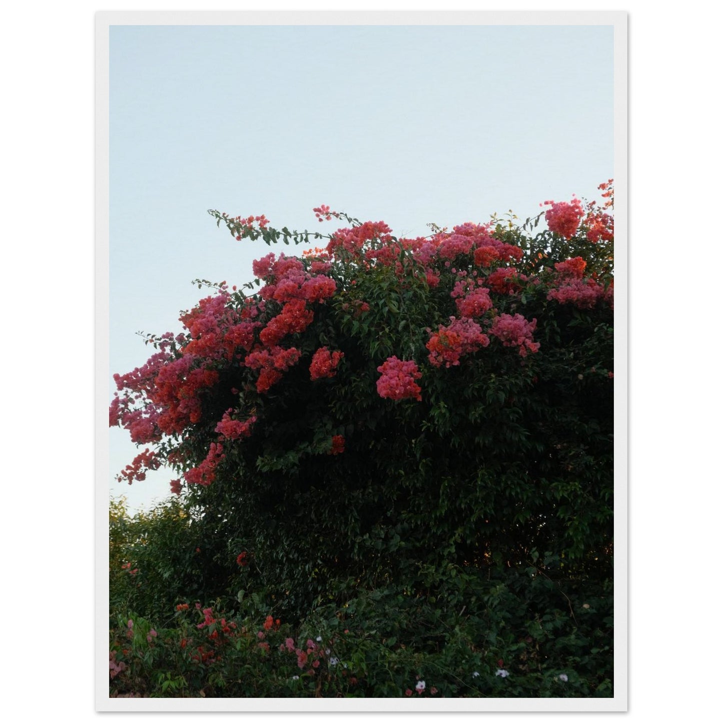 836a3db8-181f-4d61-a2f9-662095b22bde