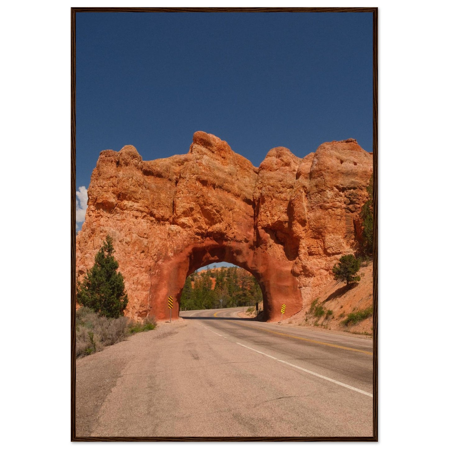 84bfff2f-5751-4d6c-b2ab-86896554015d