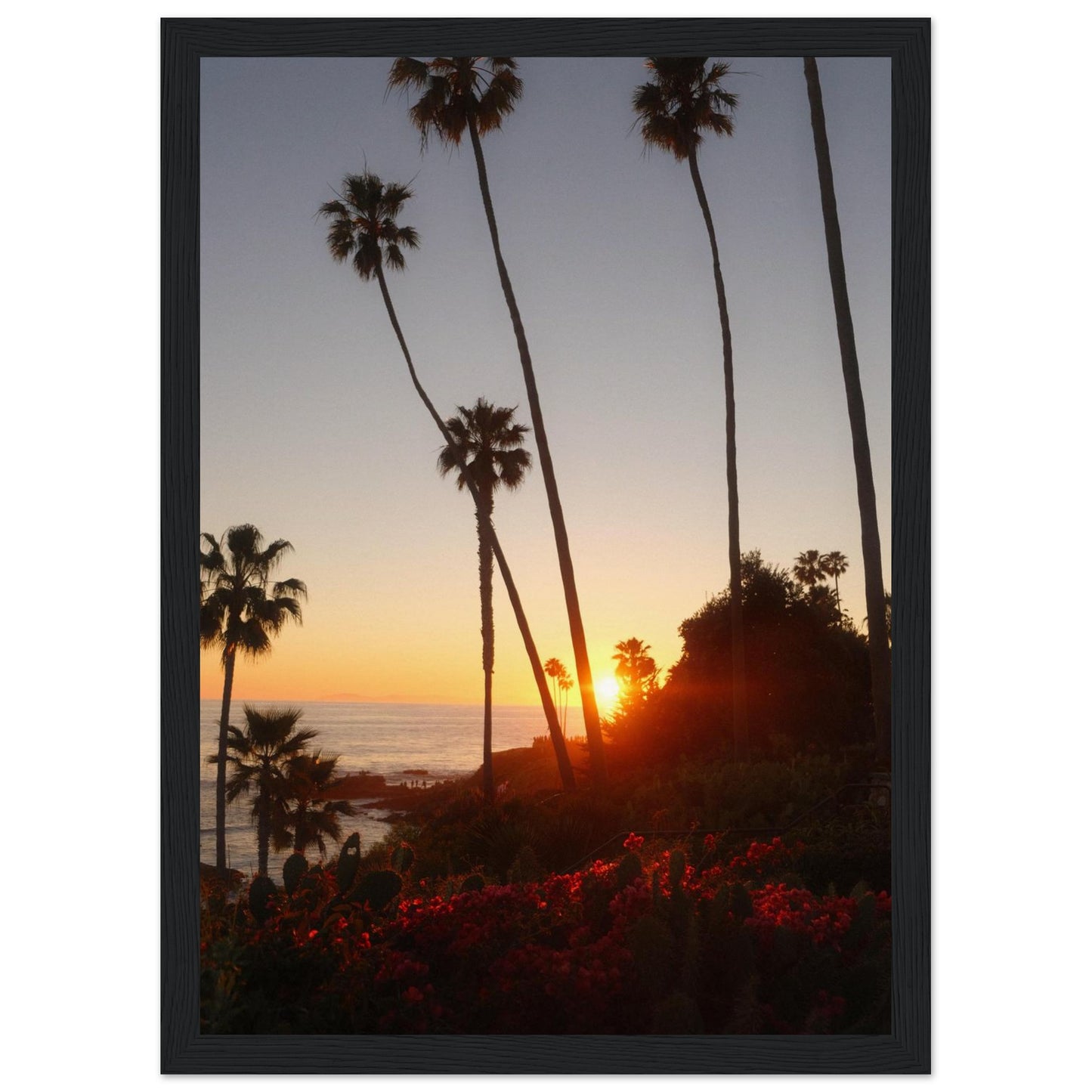 862e47c6-8160-4723-8a7a-e26ff68b570d