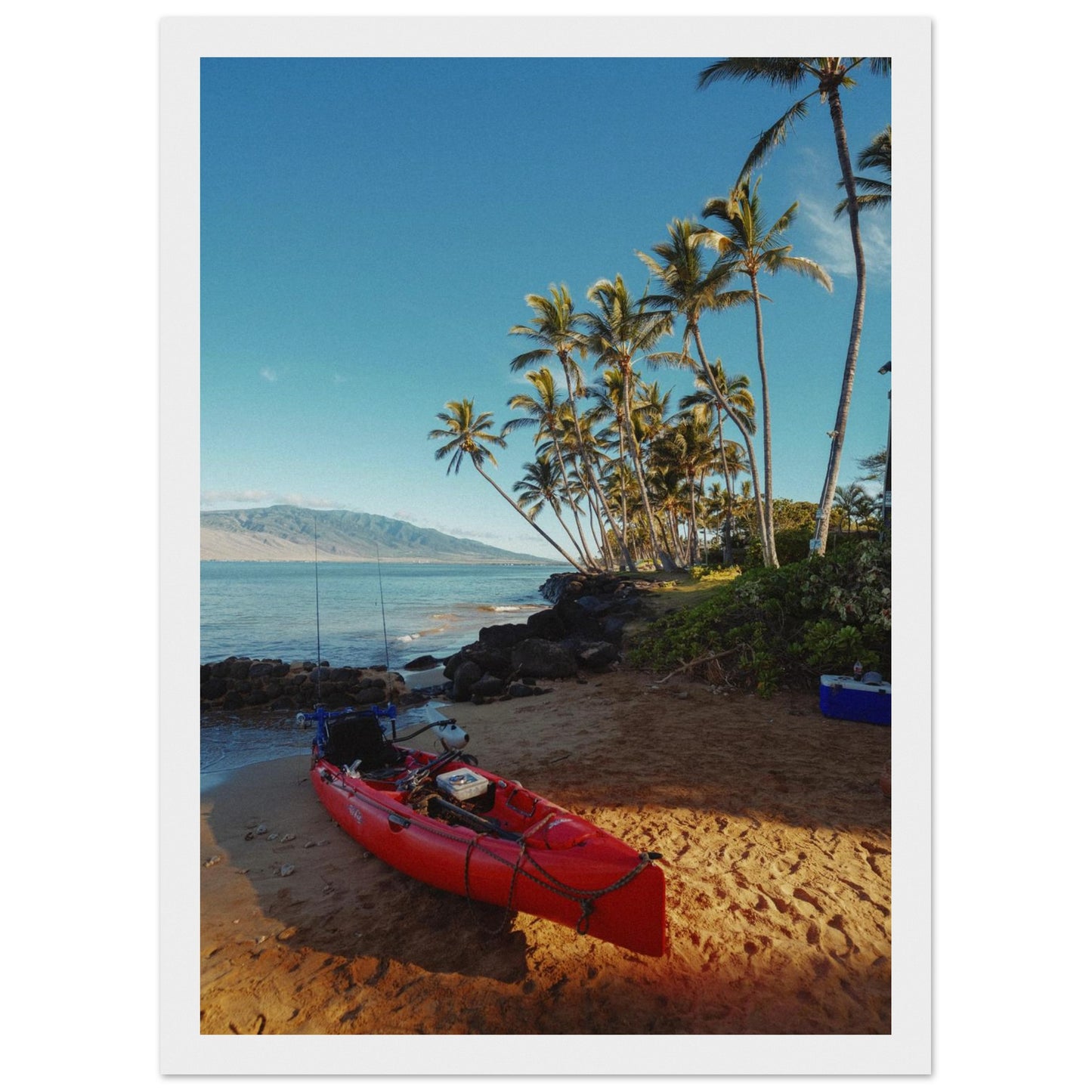 86beed36-6ff7-4179-a897-1eccd9a2de08