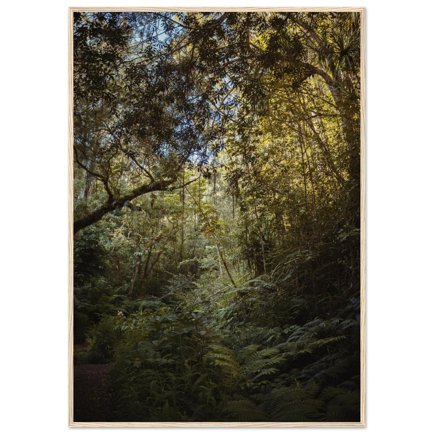 881f26af-40d6-4791-b455-8453c418b88b