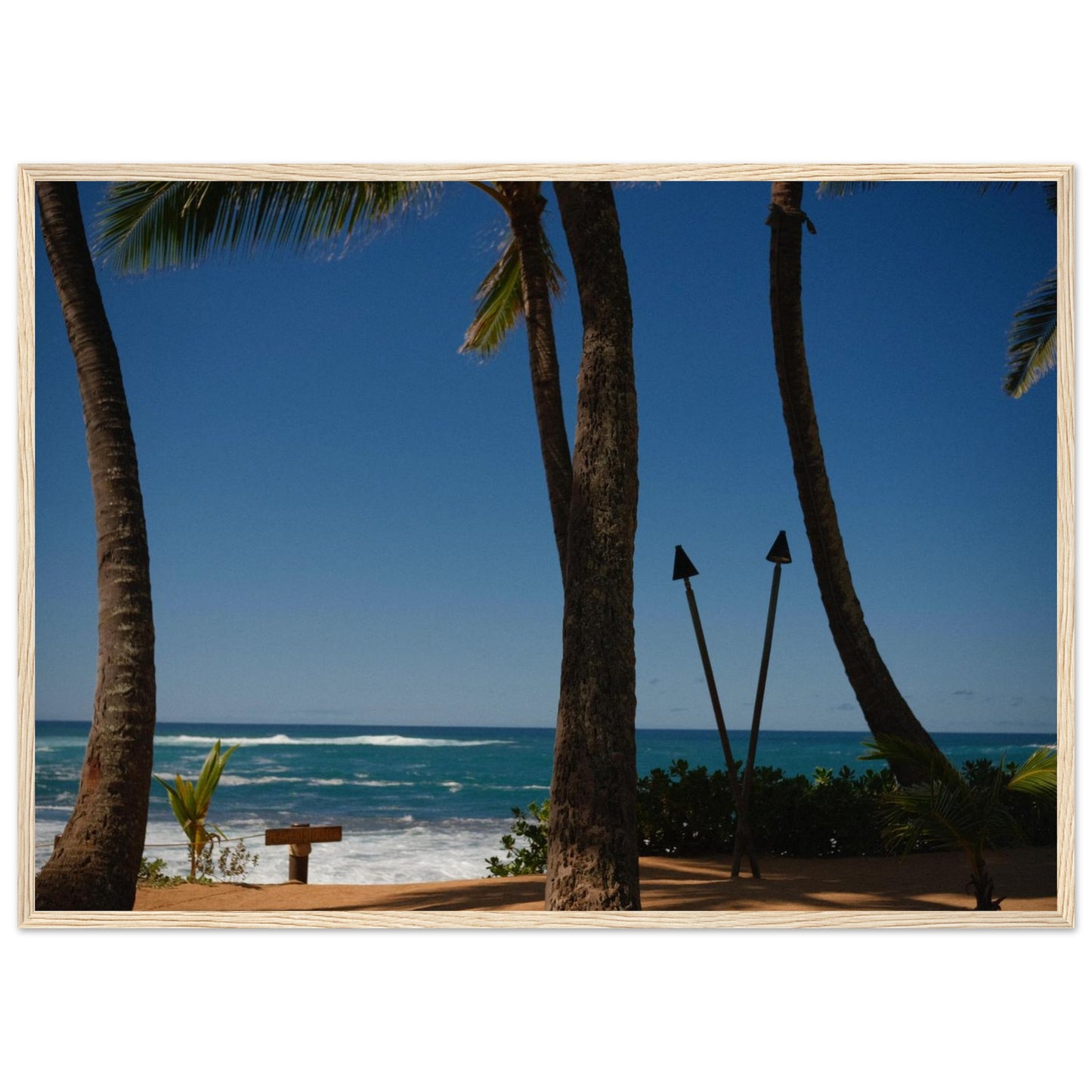 8a5715cd-9243-4c05-8c18-d2af72241ee3