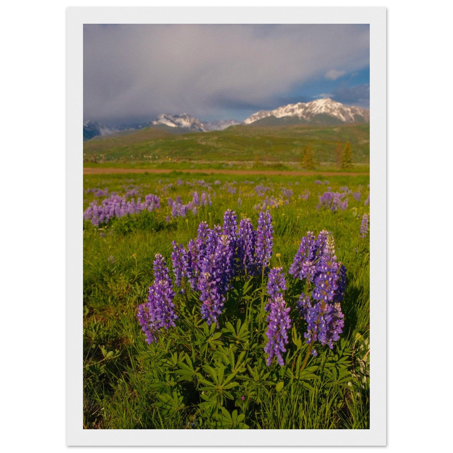 8b43a711-4760-4d45-990a-2bb47c70a8bc