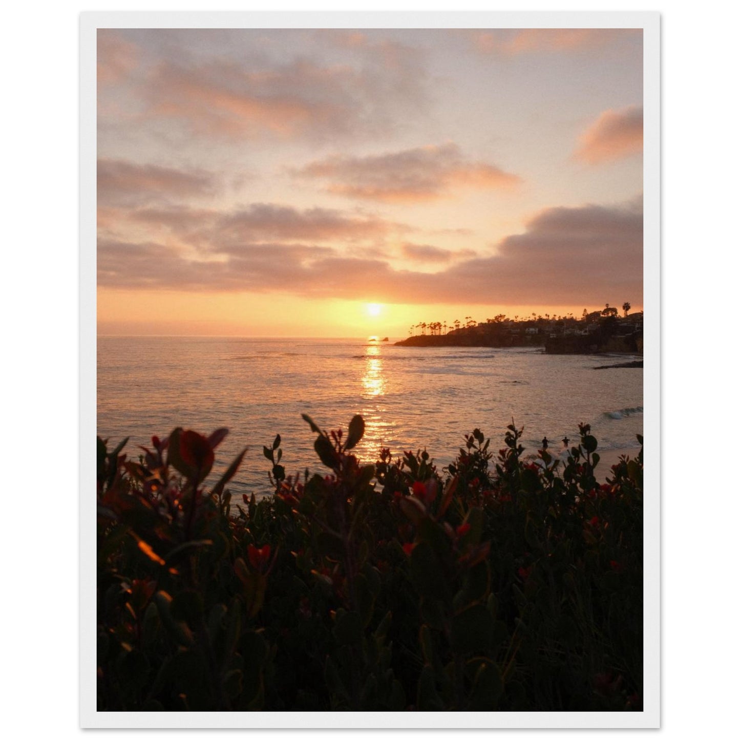 8c3a7822-b355-47dc-b525-ba56fcbcba20