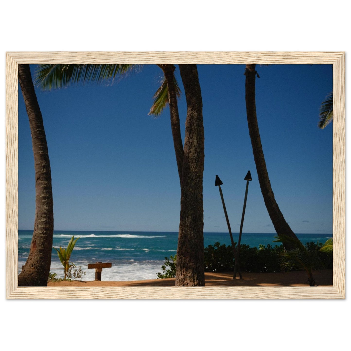 8d848ff3-c8f1-4cd8-a640-d6bb1252113e