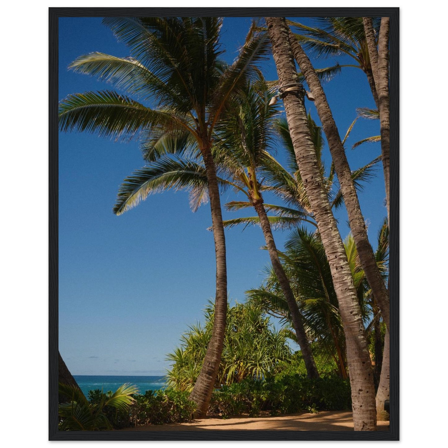 8f2ece02-104f-415c-999a-6f861dc33d5c