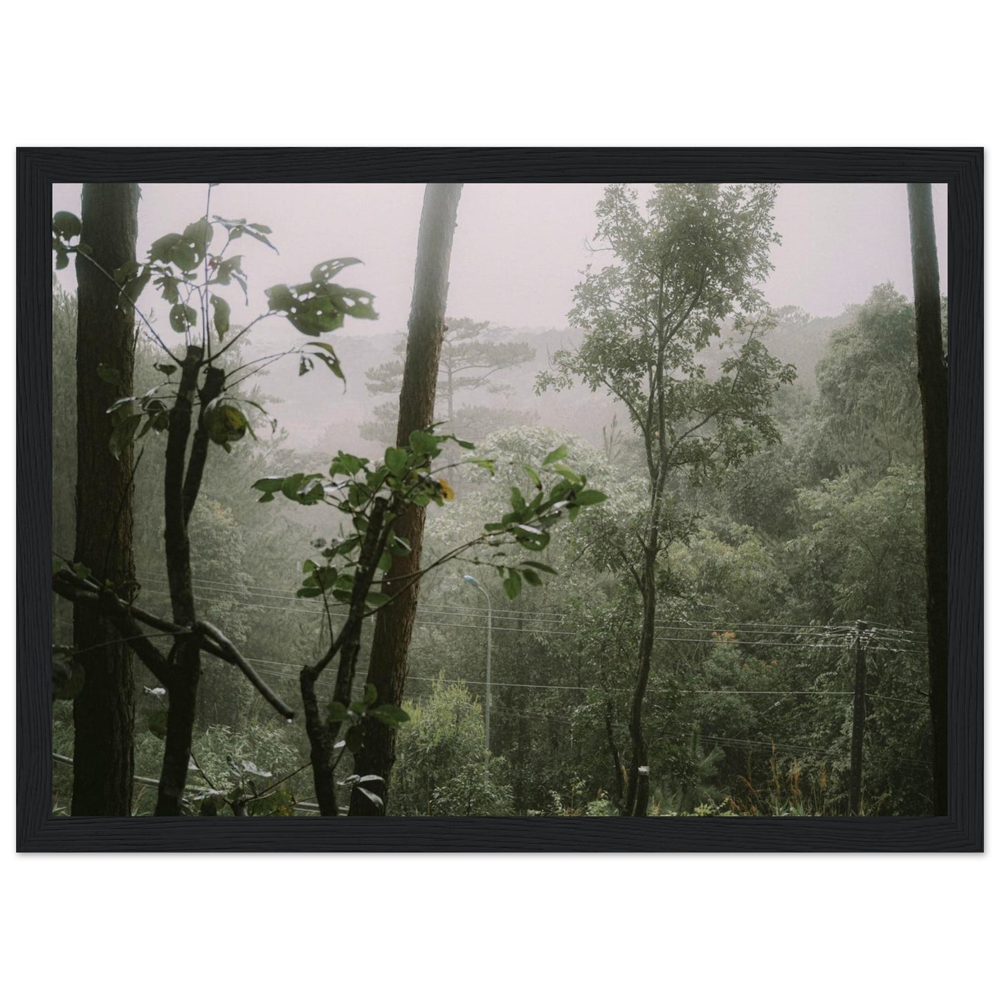 8fc7facc-2540-4e57-96f5-adf1395a6ab3